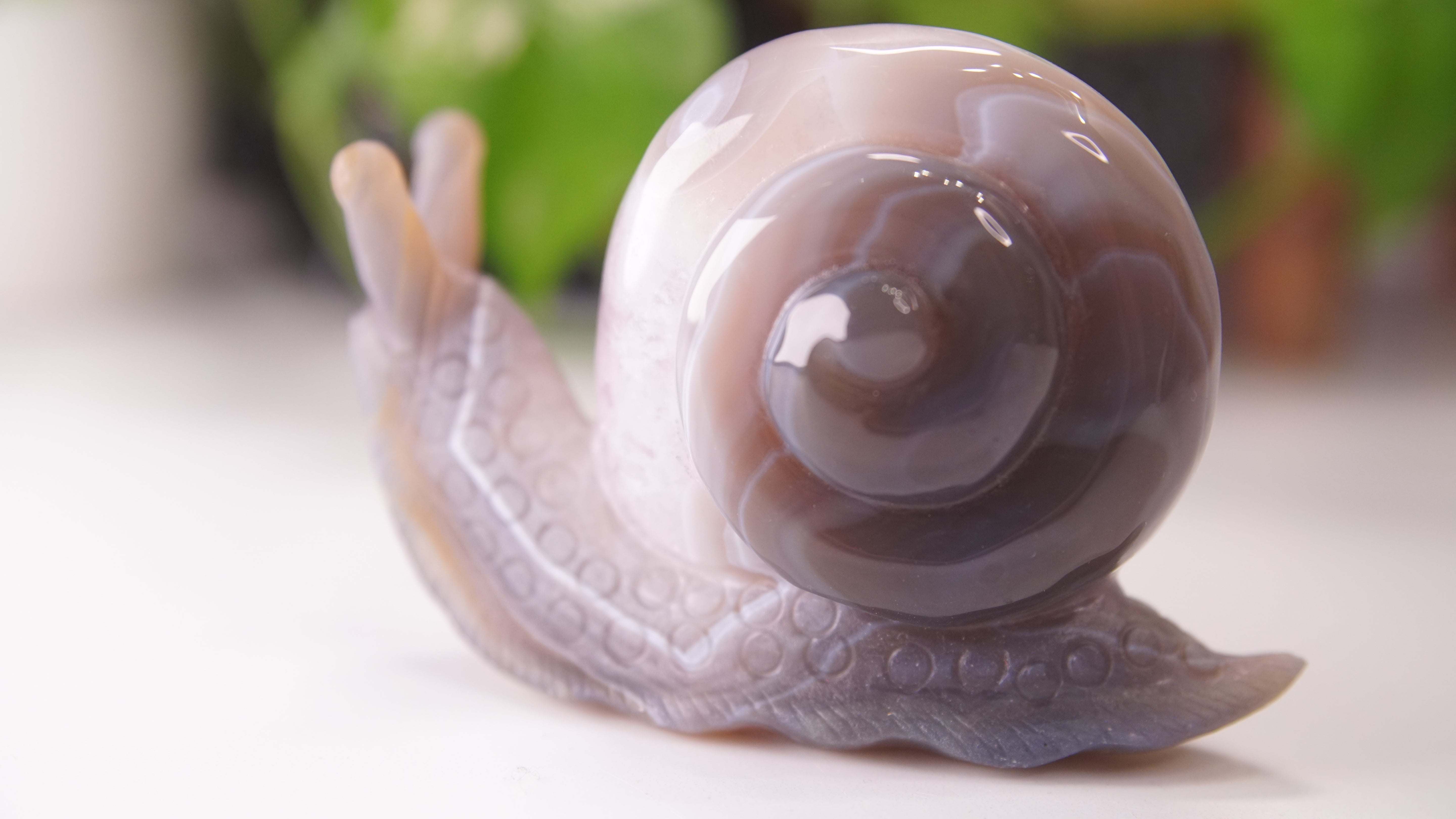 Gorgeous Agate Amethyst Boutique Snail Carving | Crystal Carving Statement Piece