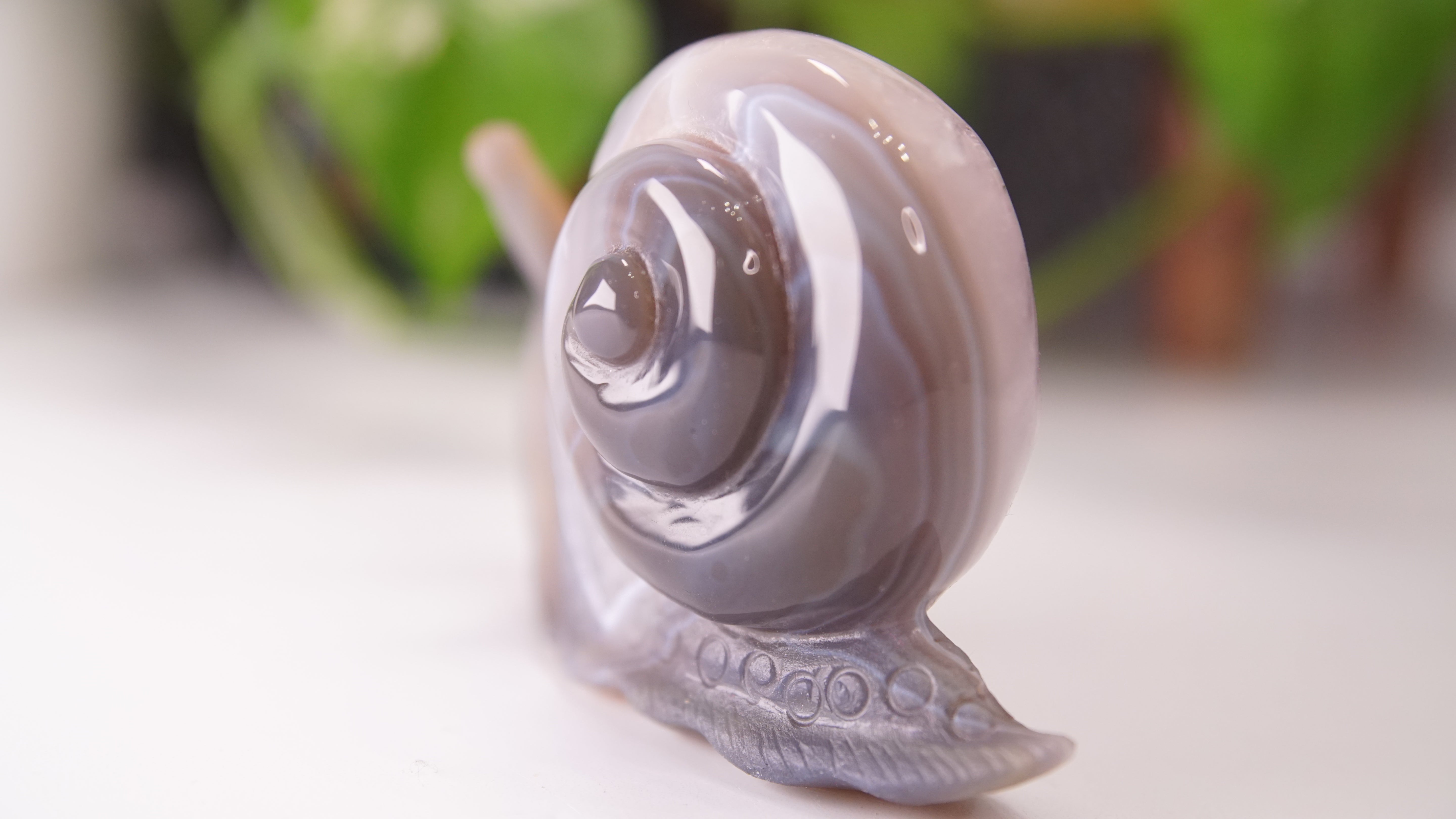 Gorgeous Agate Amethyst Boutique Snail Carving | Crystal Carving Statement Piece
