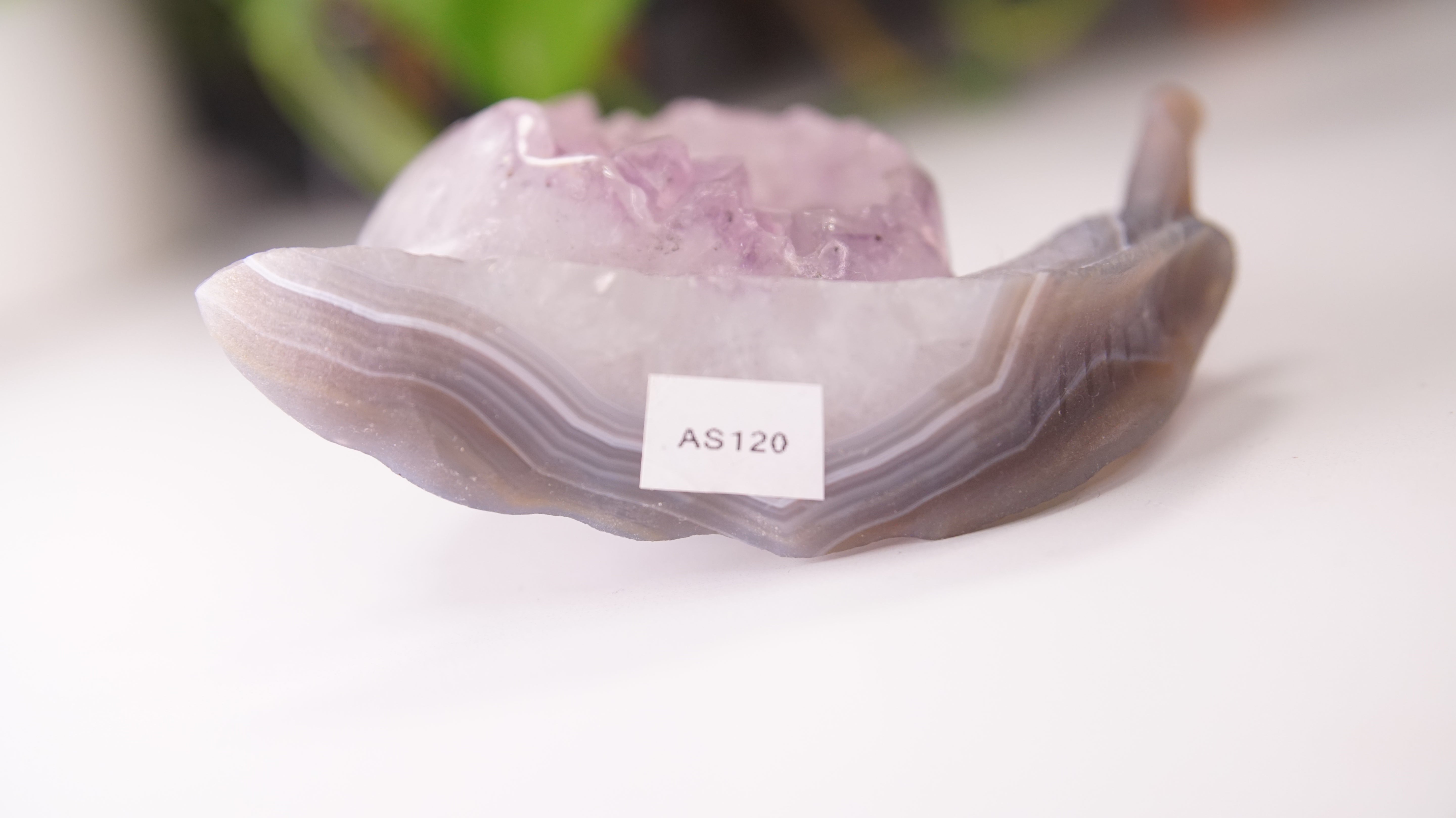 Gorgeous Agate Amethyst Boutique Snail Carving | Crystal Carving Statement Piece