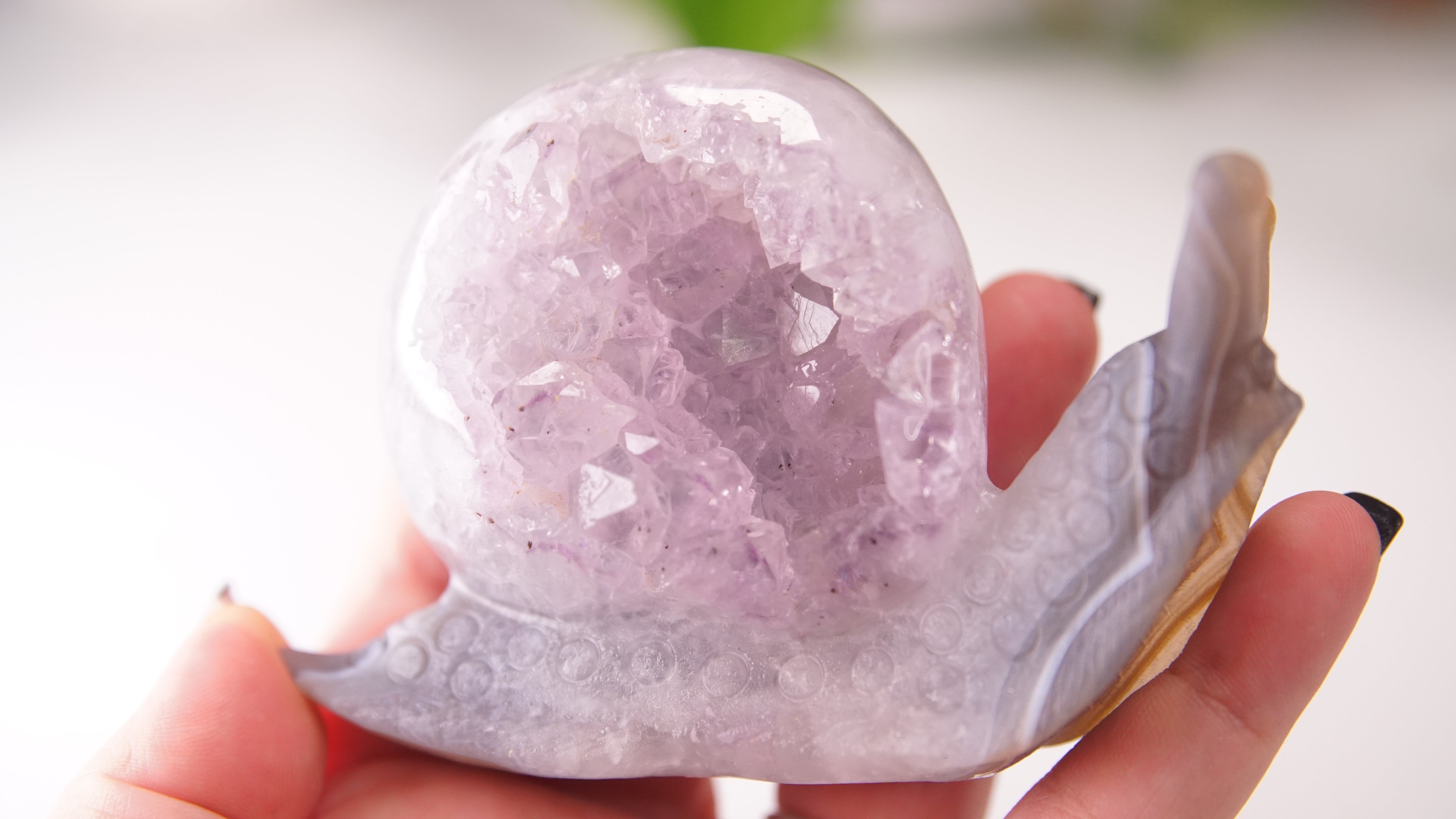 Gorgeous Agate Amethyst Boutique Snail Carving | Crystal Carving Statement Piece