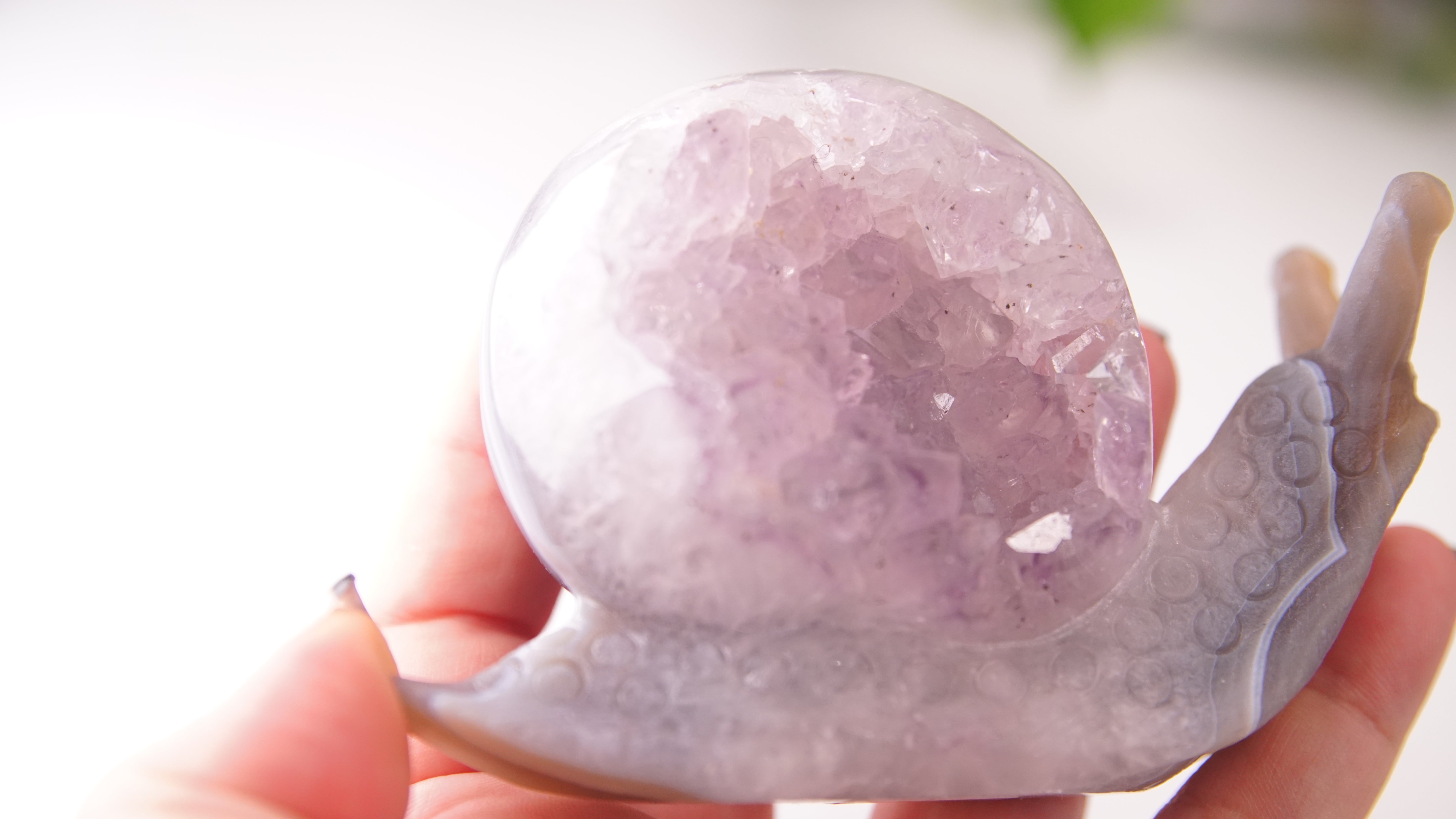 Gorgeous Agate Amethyst Boutique Snail Carving | Crystal Carving Statement Piece