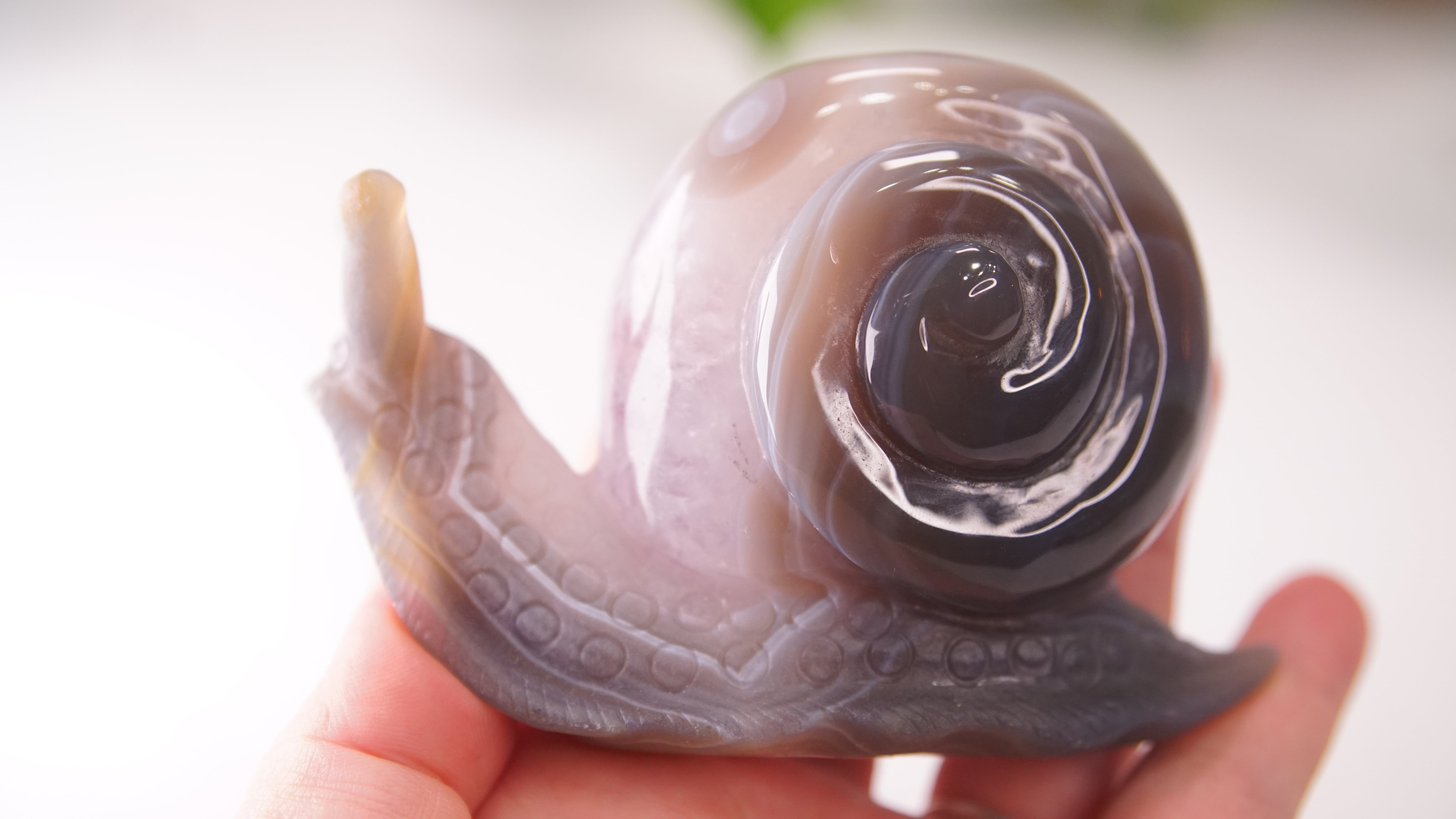 Gorgeous Agate Amethyst Boutique Snail Carving | Crystal Carving Statement Piece