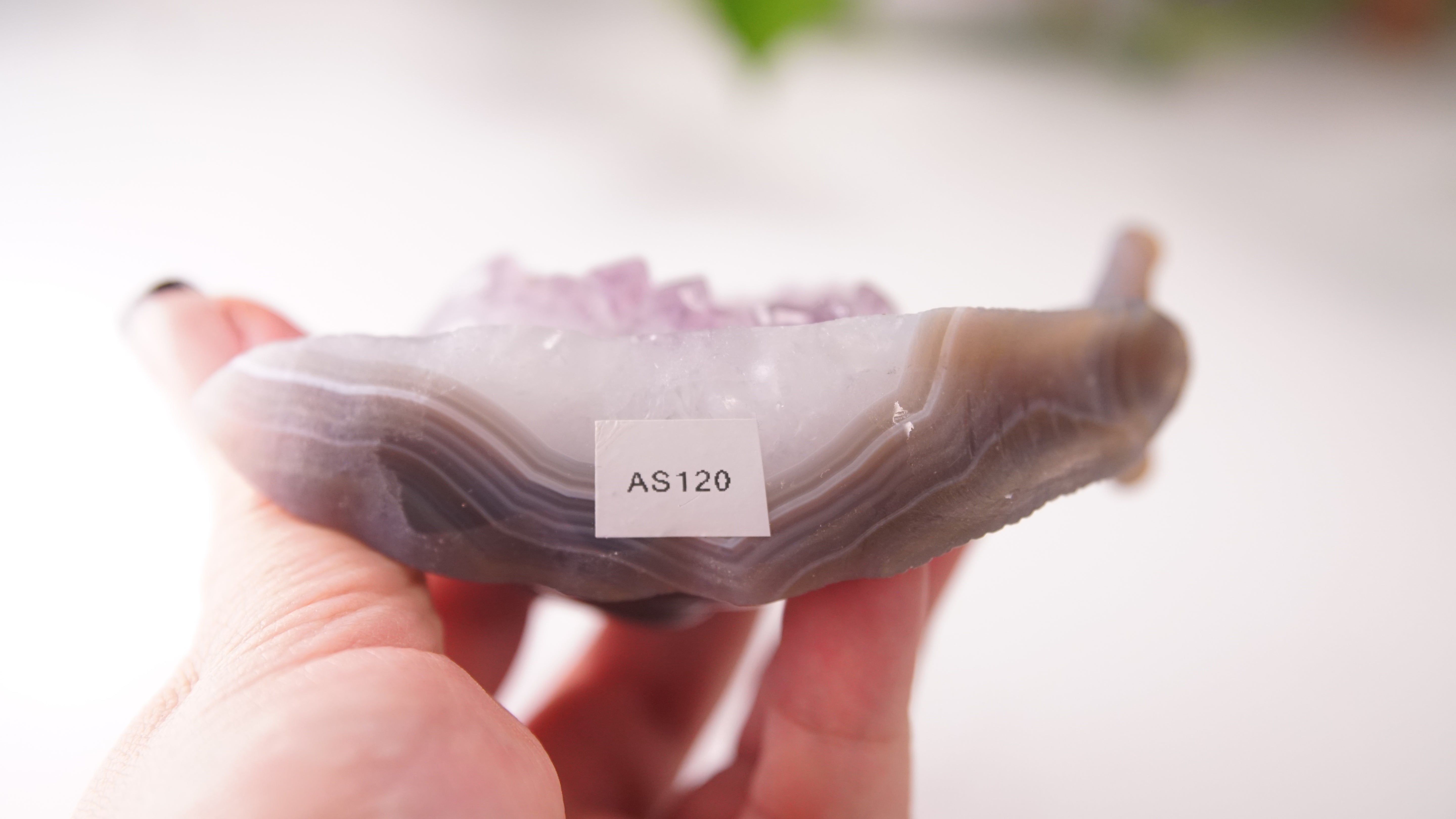 Gorgeous Agate Amethyst Boutique Snail Carving | Crystal Carving Statement Piece