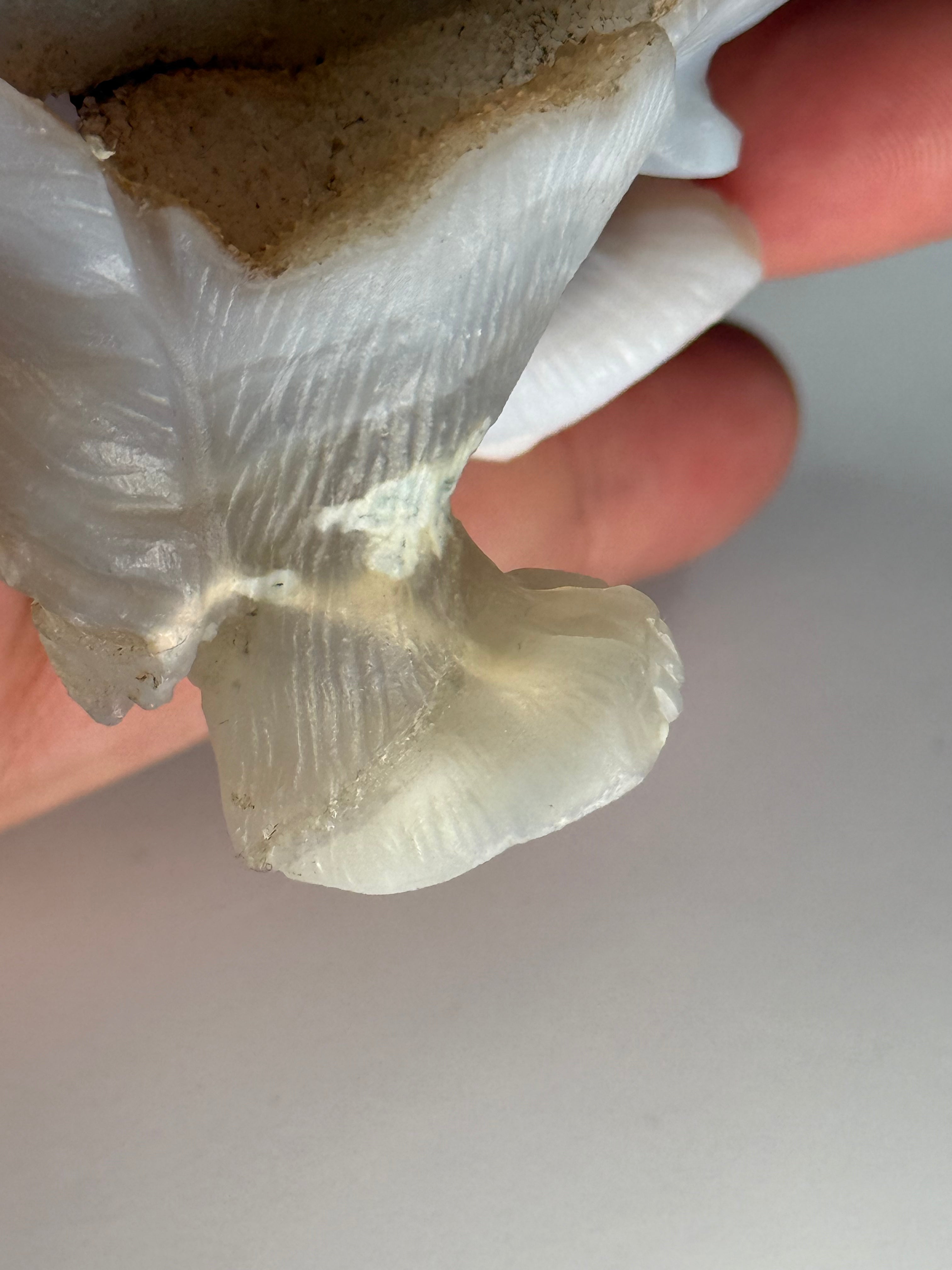 Druzy Moss Agate Boutique Wolf Carving | REPAIRED (Please See Notes)