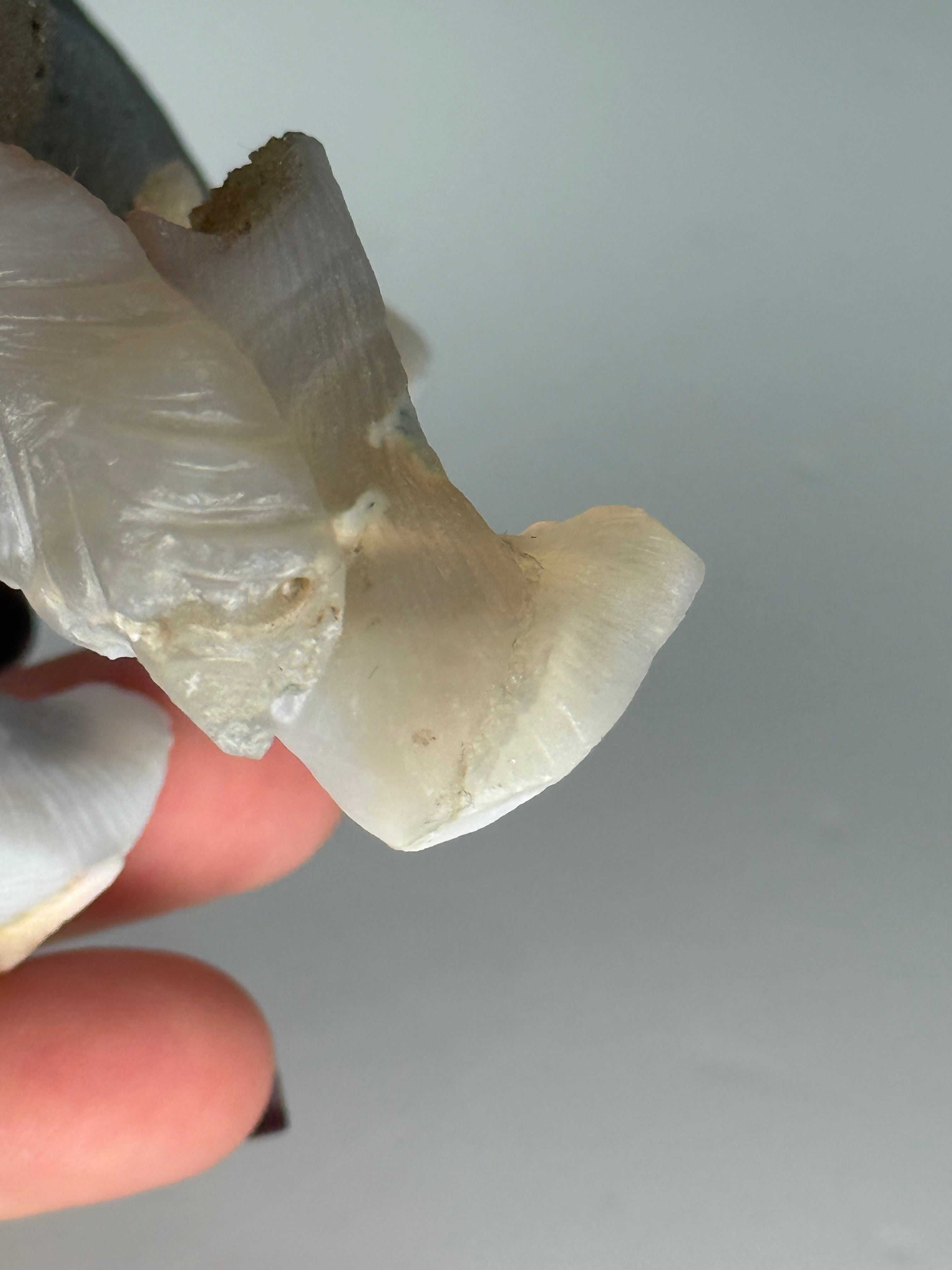 Druzy Moss Agate Boutique Wolf Carving | REPAIRED (Please See Notes)