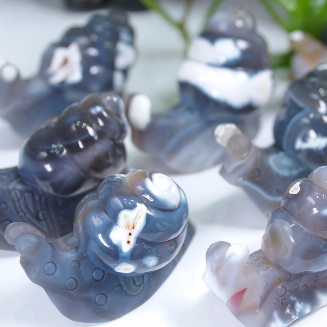 Orca Agate Snails Boutique Carvings