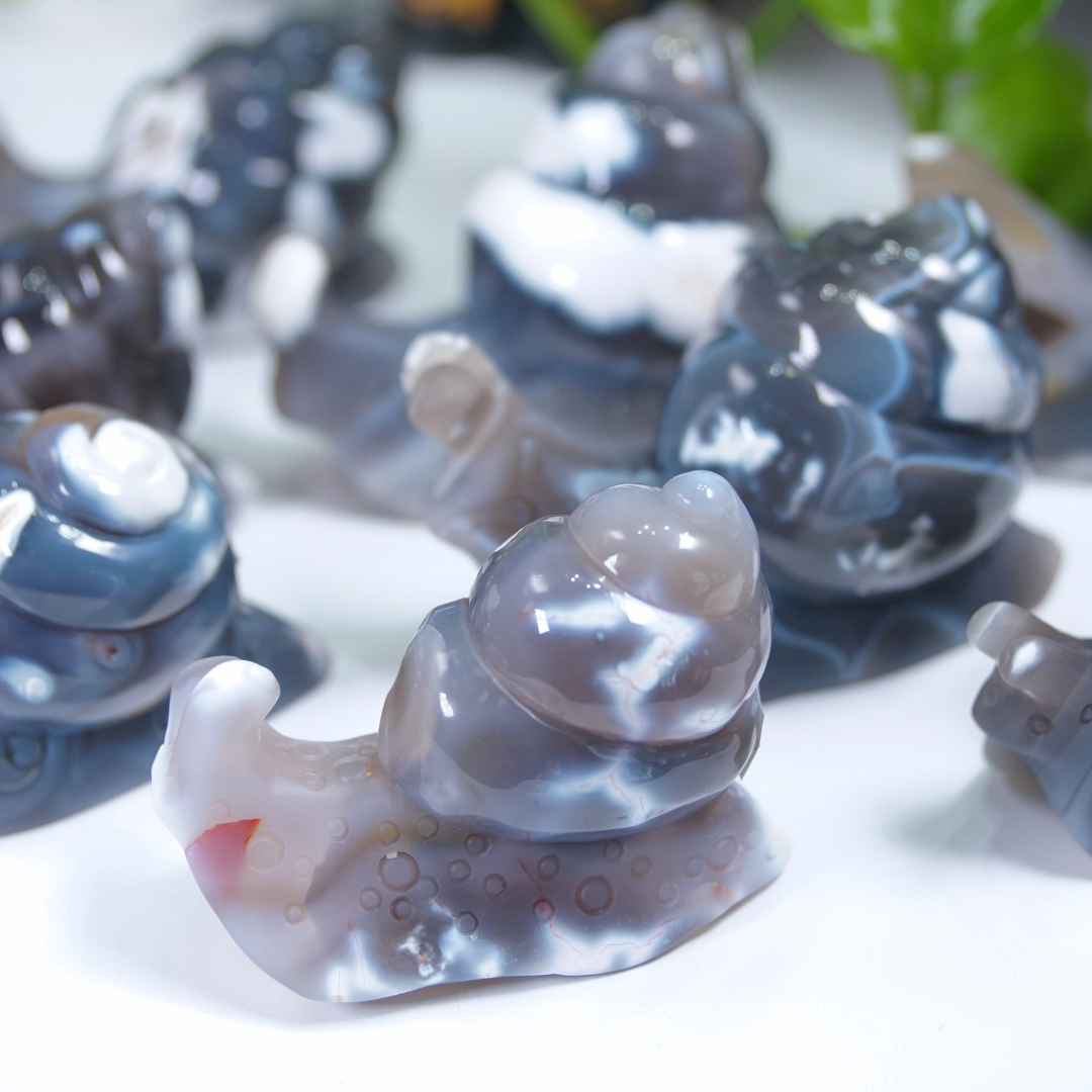 Orca Agate Snails Boutique Carvings
