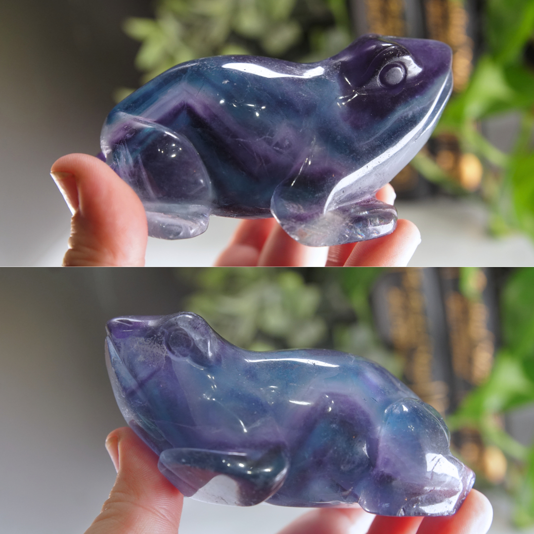 Rainbow Fluorite Frog Carving | Pick Your Favorite