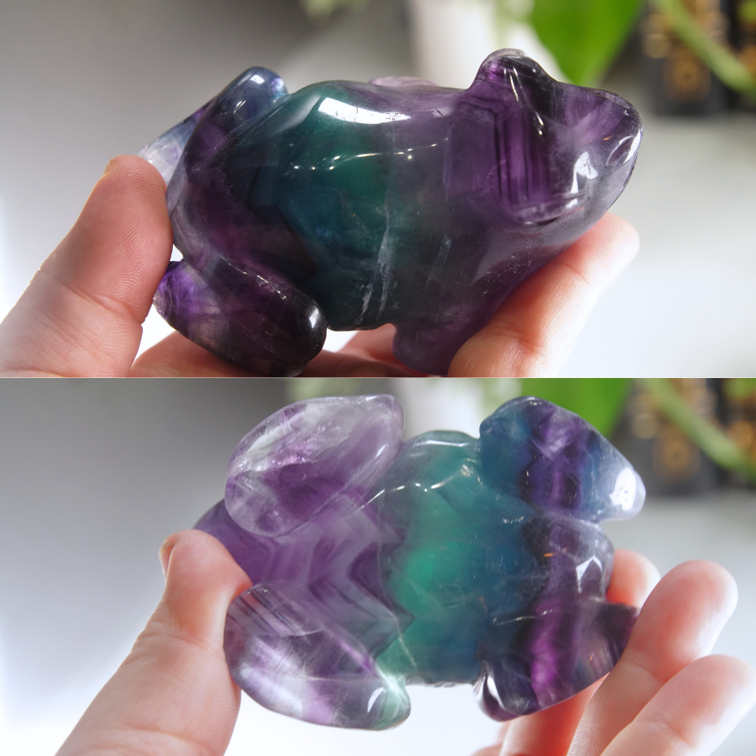 Rainbow Fluorite Frog Carving | Pick Your Favorite