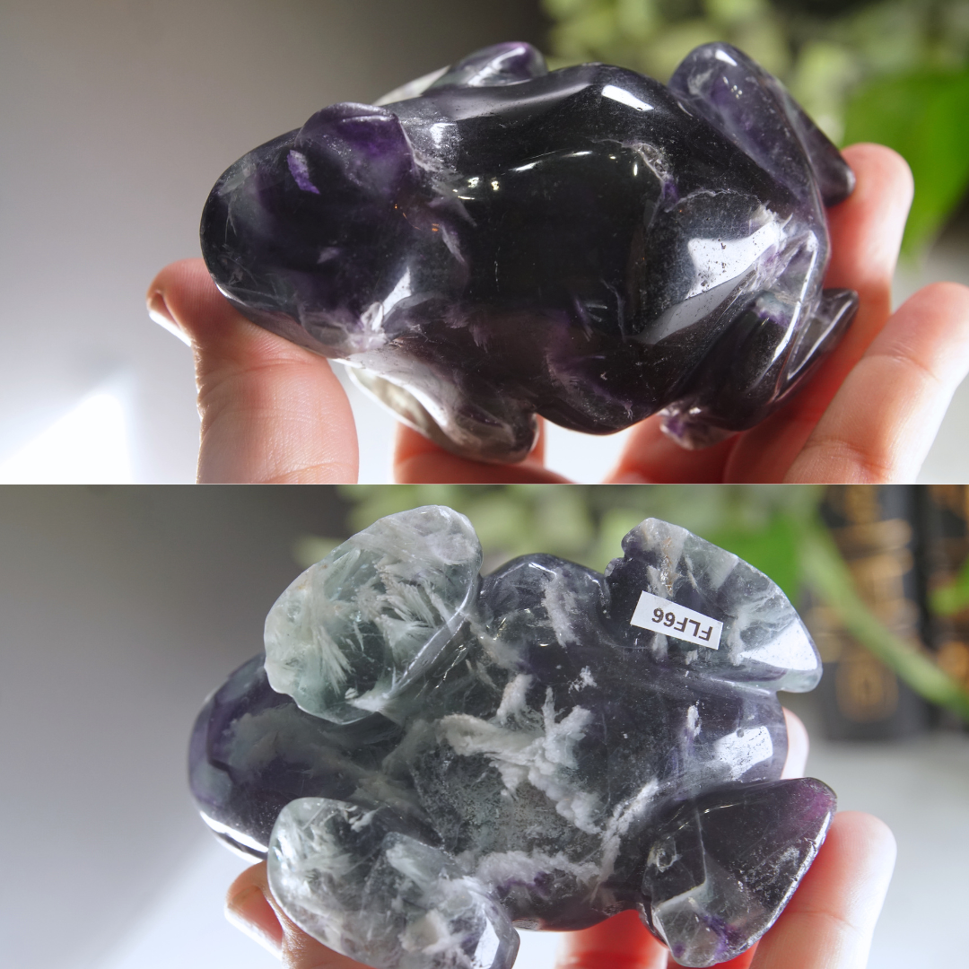 Rainbow Feather Fluorite Frog Carving | Pick Your Favorite