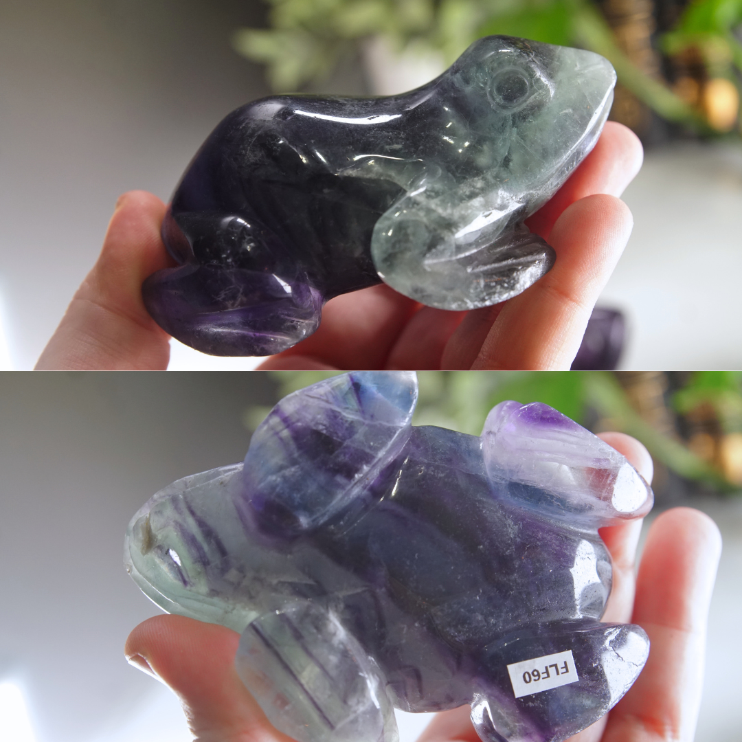 Rainbow Fluorite Frog Carving | Pick Your Favorite