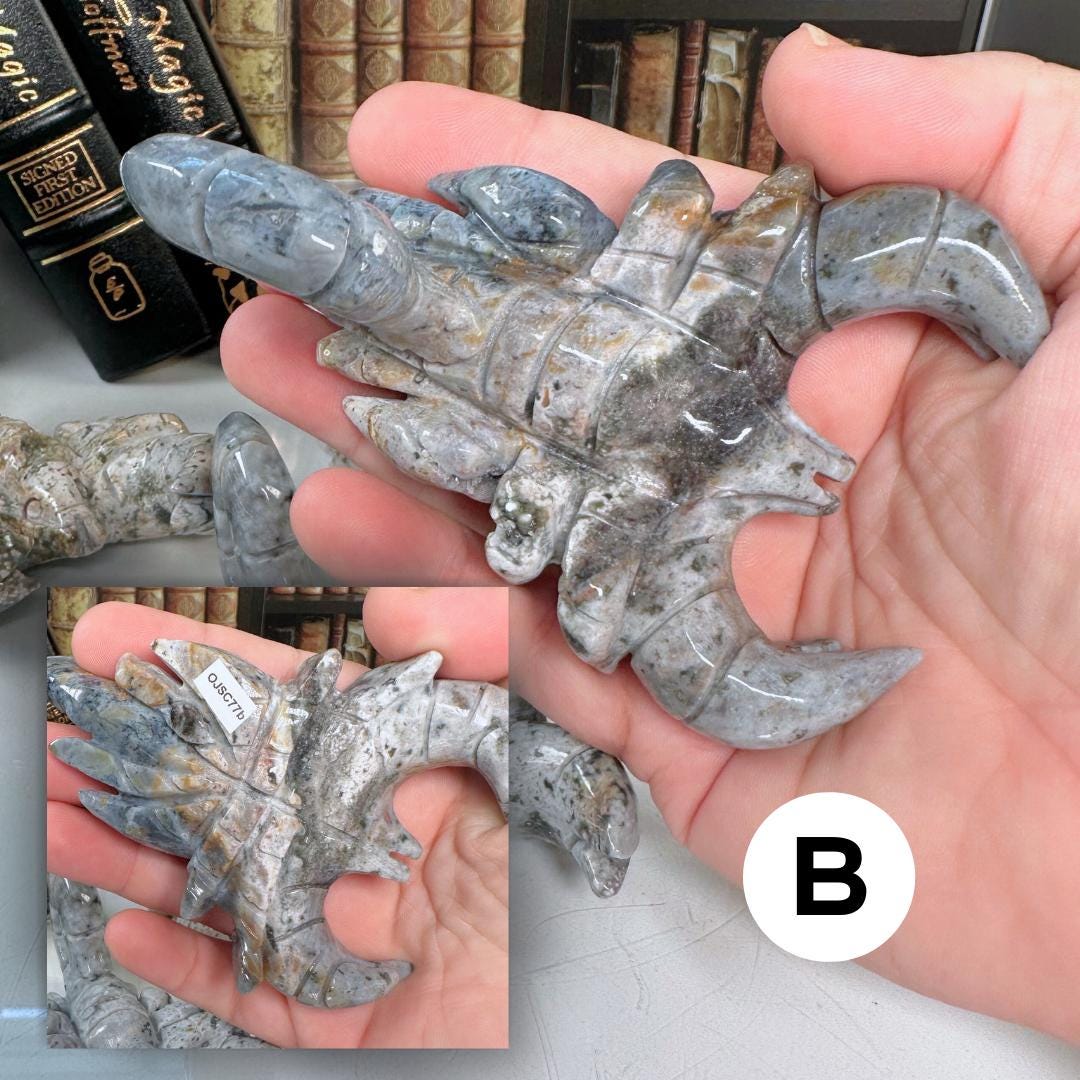 Multi Color Ocean Jasper Scorpion Carving | US Seller | Spiritual Meditation Energy Reiki Crystal Quartz Healing Love