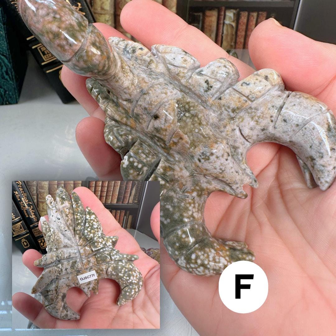 Multi Color Ocean Jasper Scorpion Carving | US Seller | Spiritual Meditation Energy Reiki Crystal Quartz Healing Love