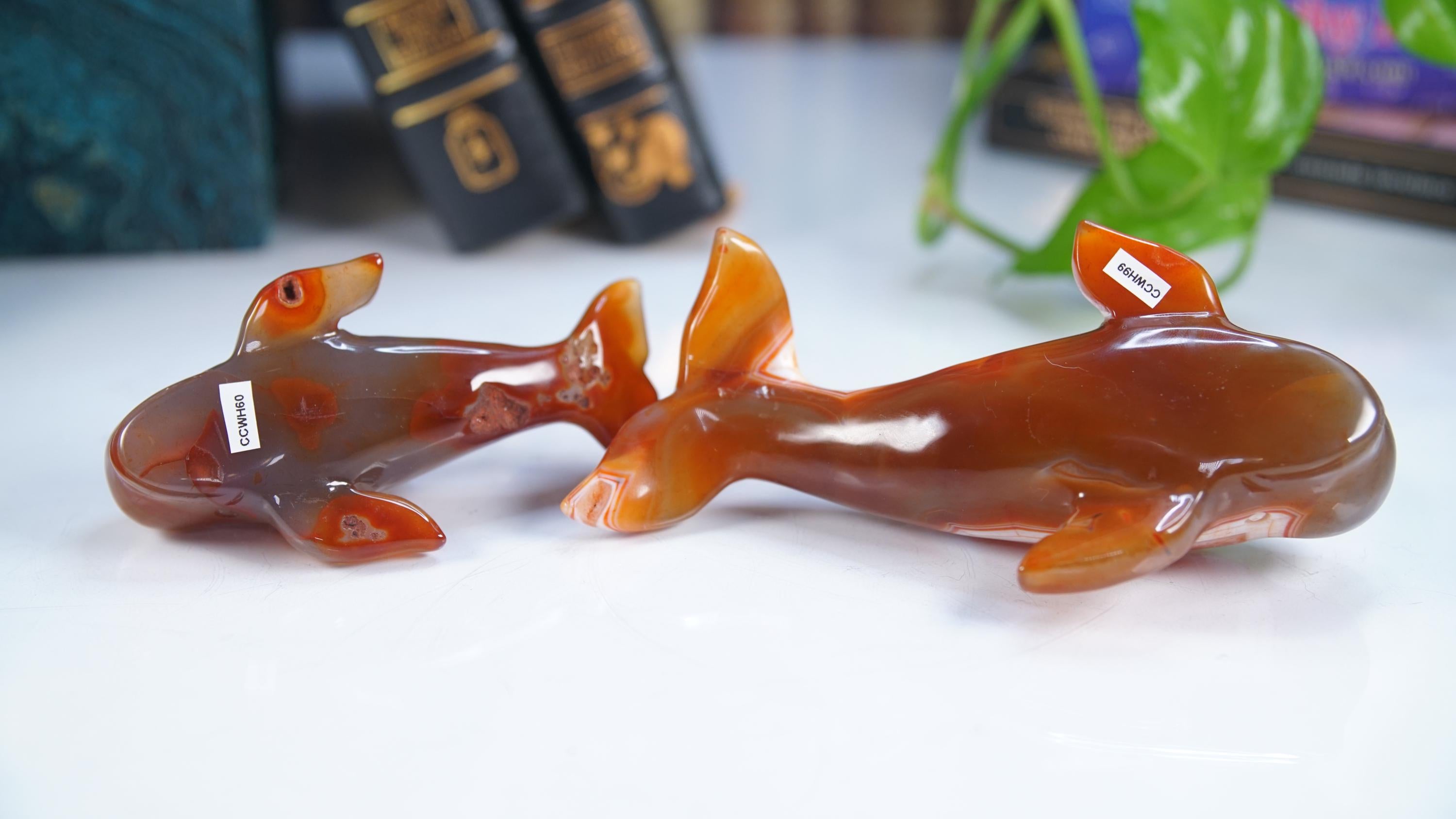 Red Carnelian Beluga Whale Stone Carving Sculpture Healing Altar Reiki Feng Shui Altar