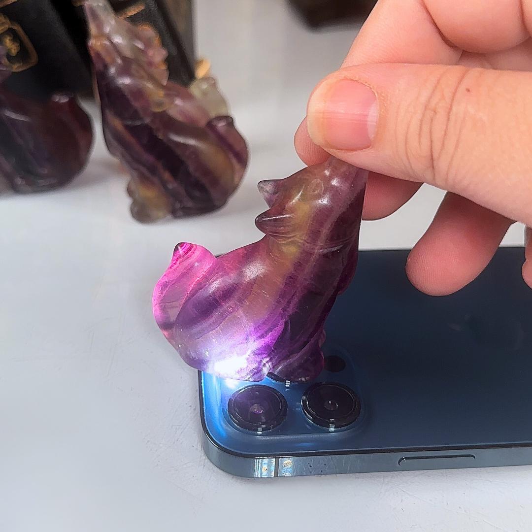 Candy Fluorite Wolf Crystal Carving | Intuitively Selected | Home Decor Feng Shui Gift