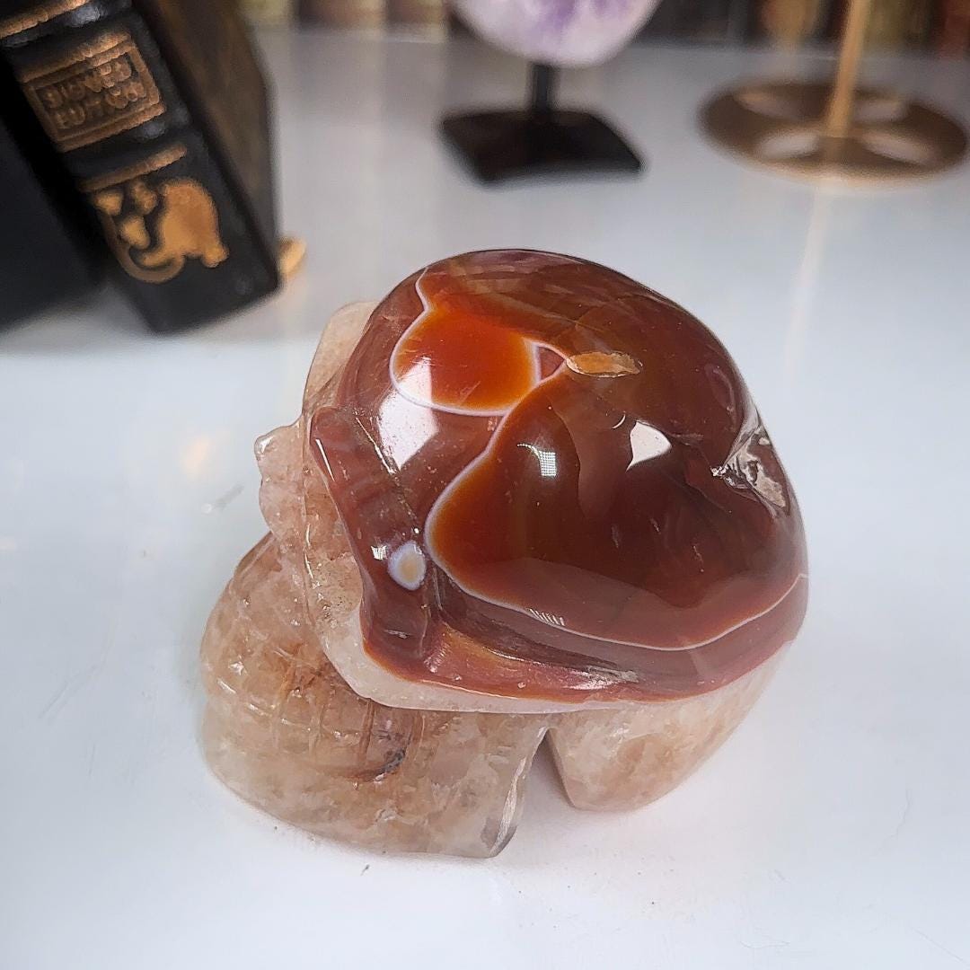 Red Carnelian Crystal Agate Sardonyx Skull Stone Carving Sculpture Healing Altar Reiki Feng Shui Altar