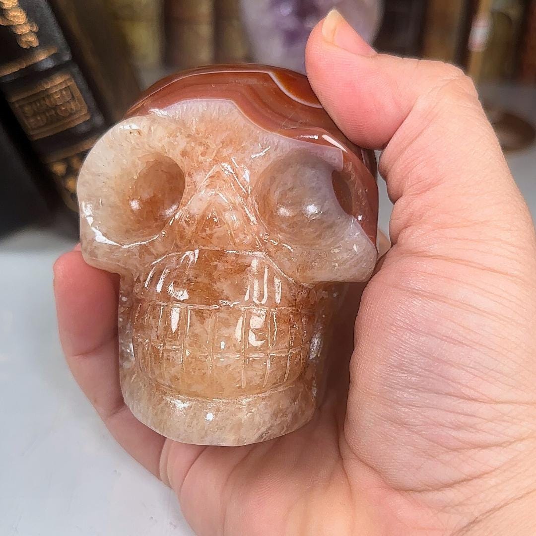 Red Carnelian Crystal Agate Sardonyx Skull Stone Carving Sculpture Healing Altar Reiki Feng Shui Altar