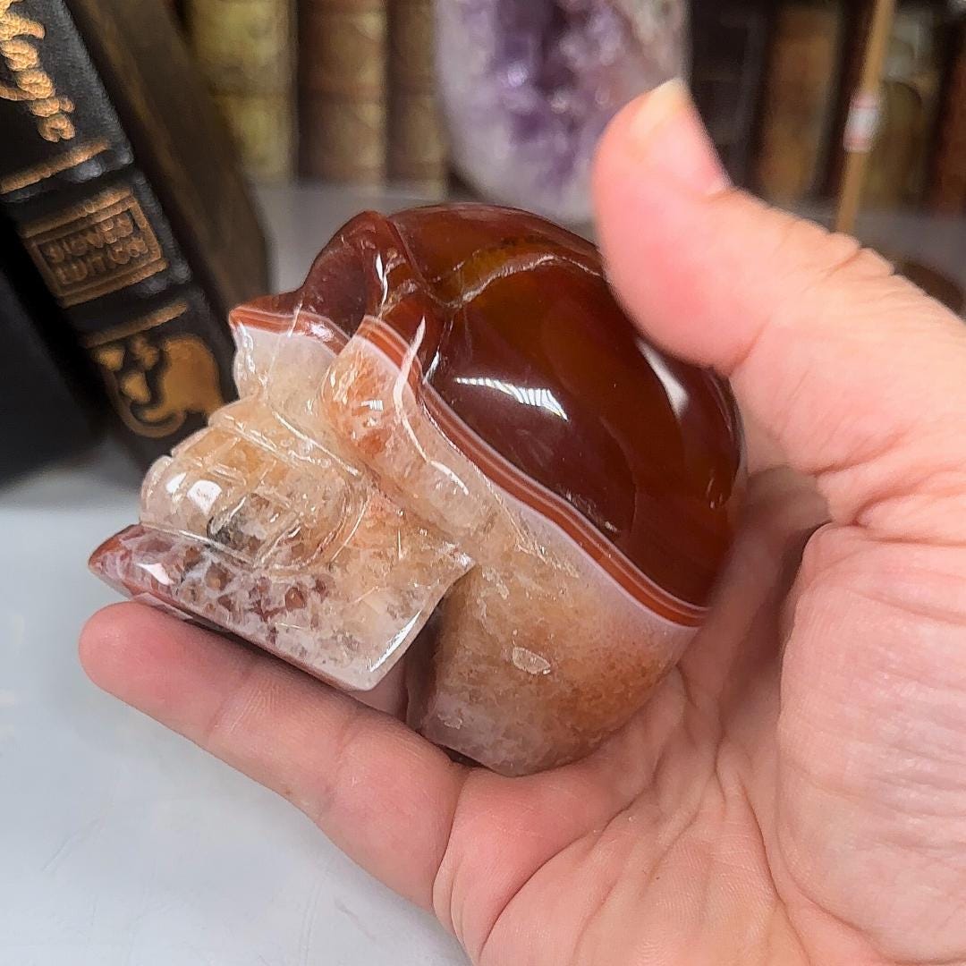 Red Carnelian Crystal Agate Sardonyx Skull Stone Carving Sculpture Healing Altar Reiki Feng Shui Altar