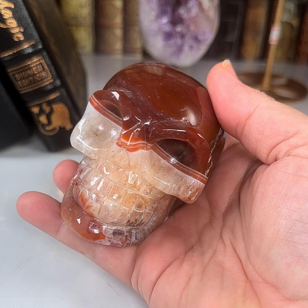 Red Carnelian Crystal Agate Sardonyx Skull Stone Carving Sculpture Healing Altar Reiki Feng Shui Altar
