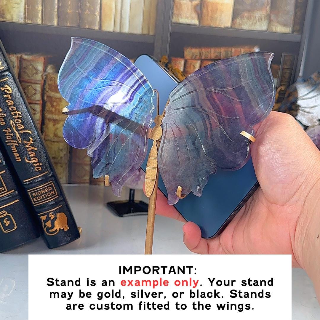 Rainbow Fluorite Wings | Crystal Fluorite | Cleansing Chakras Altar Stability Concentration Healing Reiki Energy
