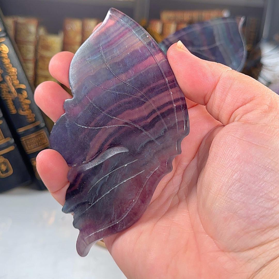 Rainbow Fluorite Wings | Crystal Fluorite | Cleansing Chakras Altar Stability Concentration Healing Reiki Energy