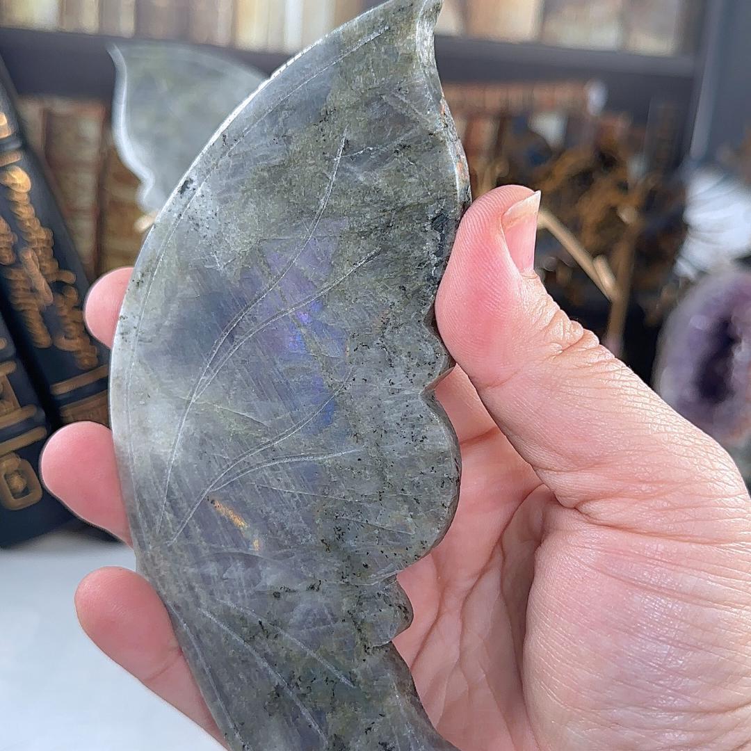 Large Flashy Purple Labradorite Wings | Chakra Healing Reiki Stone | Perfect for Meditation