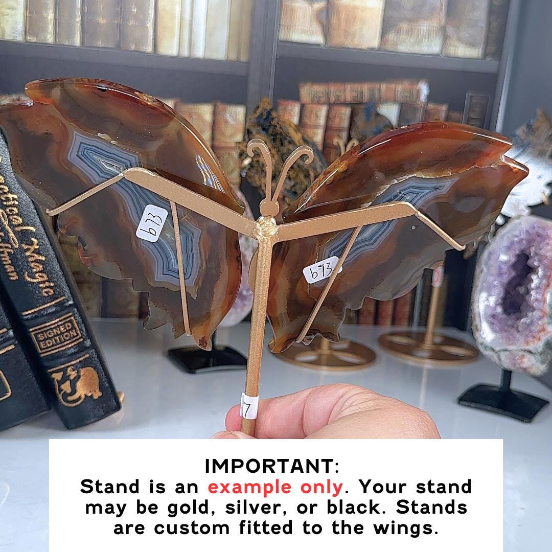 Druzy Red Agate Carnelian Crystal Wings | Stone Carving Sculpture Healing Altar Reiki Feng Shui Altar