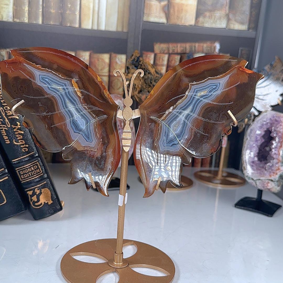 Druzy Red Agate Carnelian Crystal Wings | Stone Carving Sculpture Healing Altar Reiki Feng Shui Altar