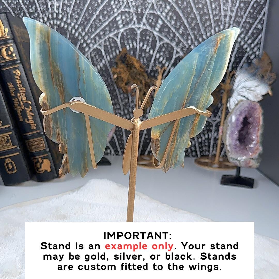 Blue Onyx Butterfly Wings | US Seller | Metaphysical Shop Healing Concentration Trauma Energy Altar