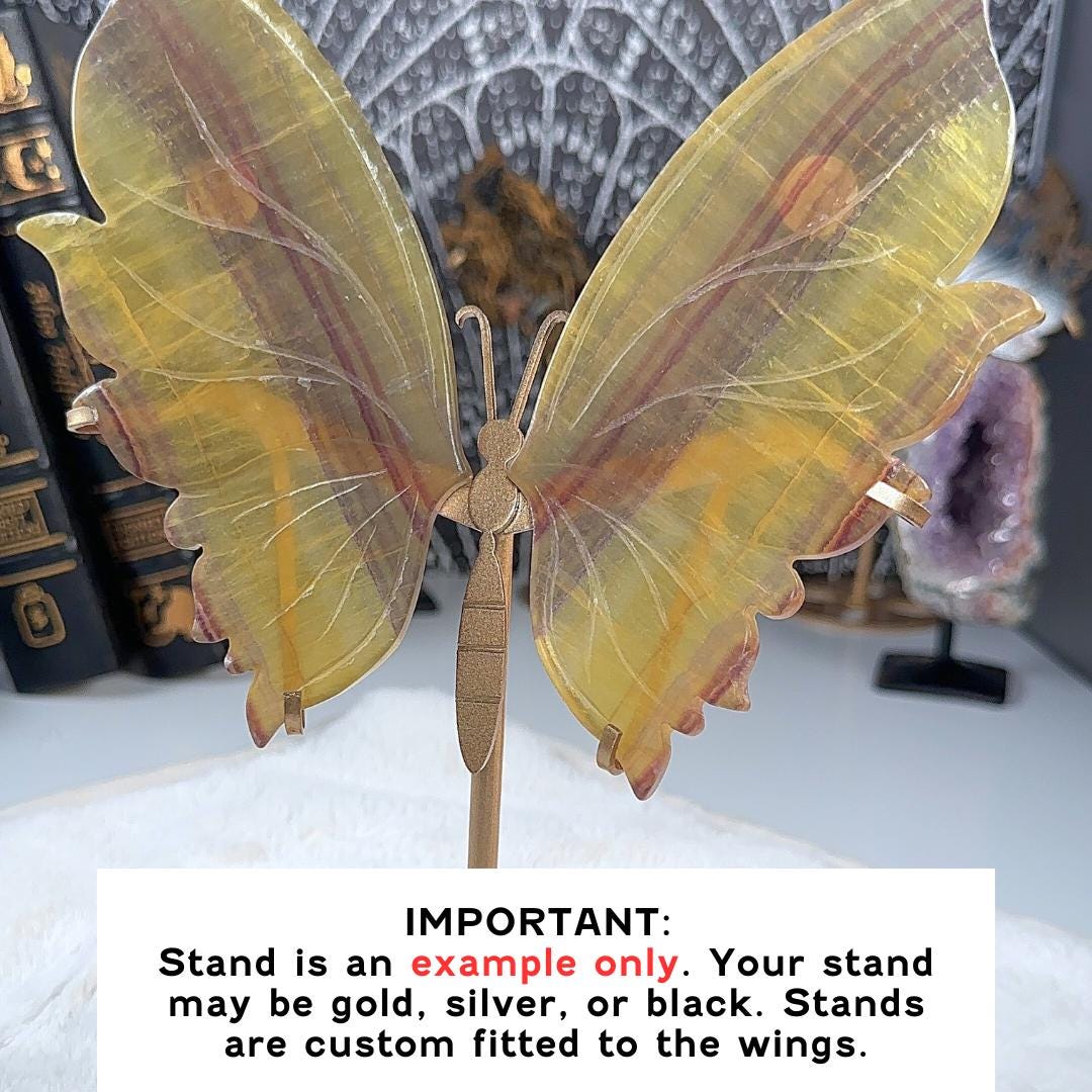 Yellow Fluorite Butterfly Wings | Crystal Fluorite | Cleansing Chakras Altar Stability Concentration Healing Reiki Energy