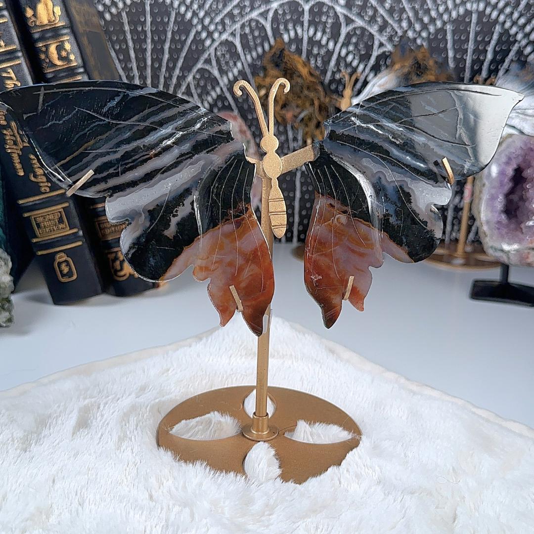Druzy Black Agate Jasper Crystal Wings | Stone Carving Sculpture Healing Altar Reiki Feng Shui Altar