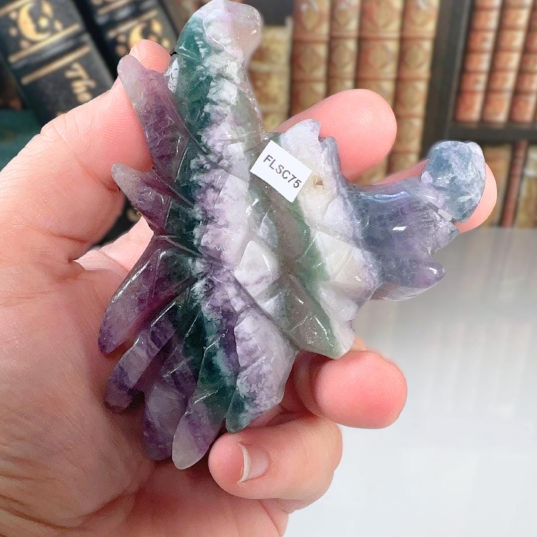 Rainbow Fluorite Scorpions | Beautiful Fluorite | Cleansing Chakras Altar Stability Concentration Healing | US Seller