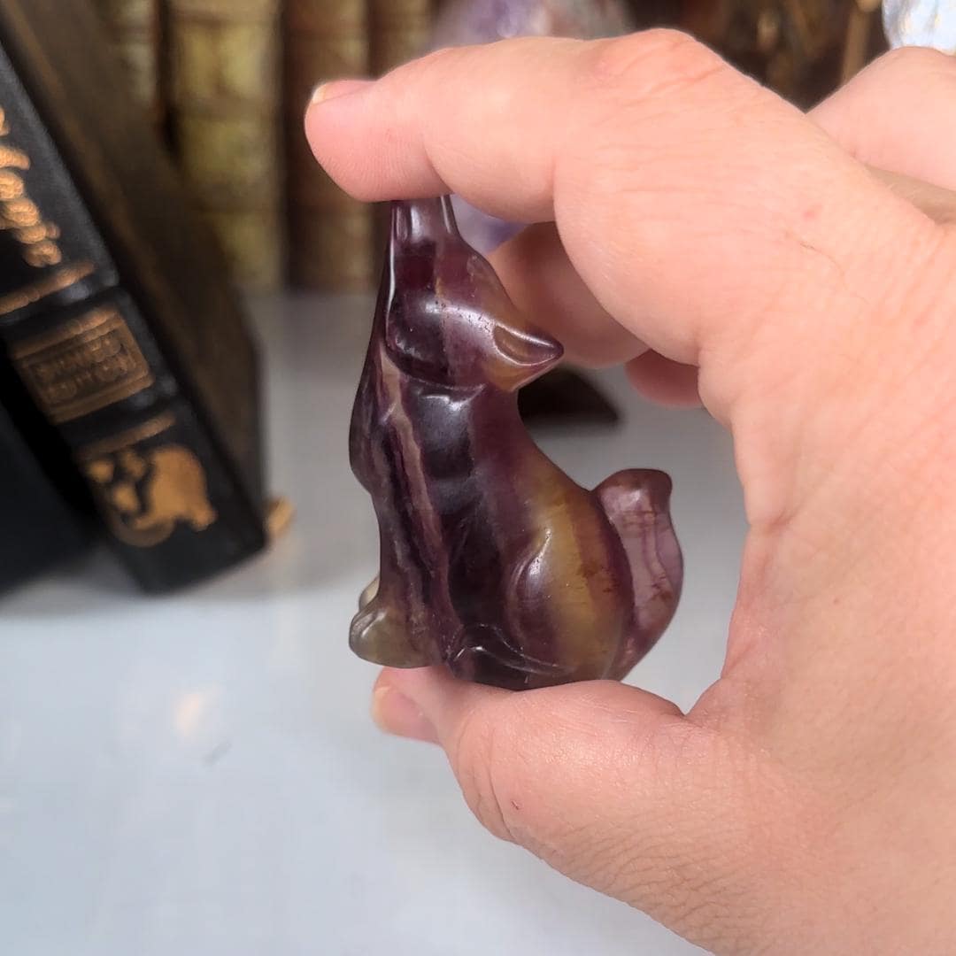 Candy Fluorite Wolf Crystal Carving | Intuitively Selected | Home Decor Feng Shui Gift