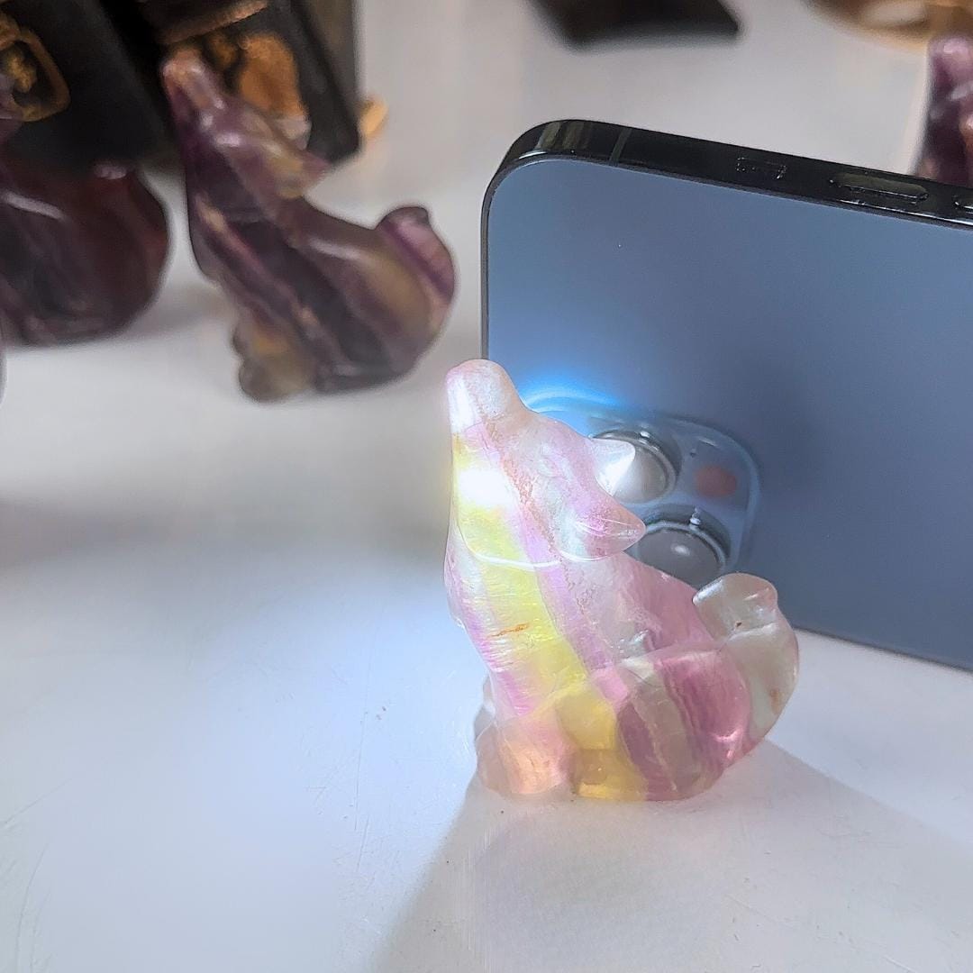 Candy Fluorite Wolf Crystal Carving | Intuitively Selected | Home Decor Feng Shui Gift