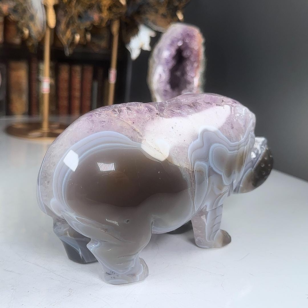 Druzy Amethyst Agate Hippo Carving | US Seller | Home Decor Energy Healing Feng Shui Altar Reiki Office Gift