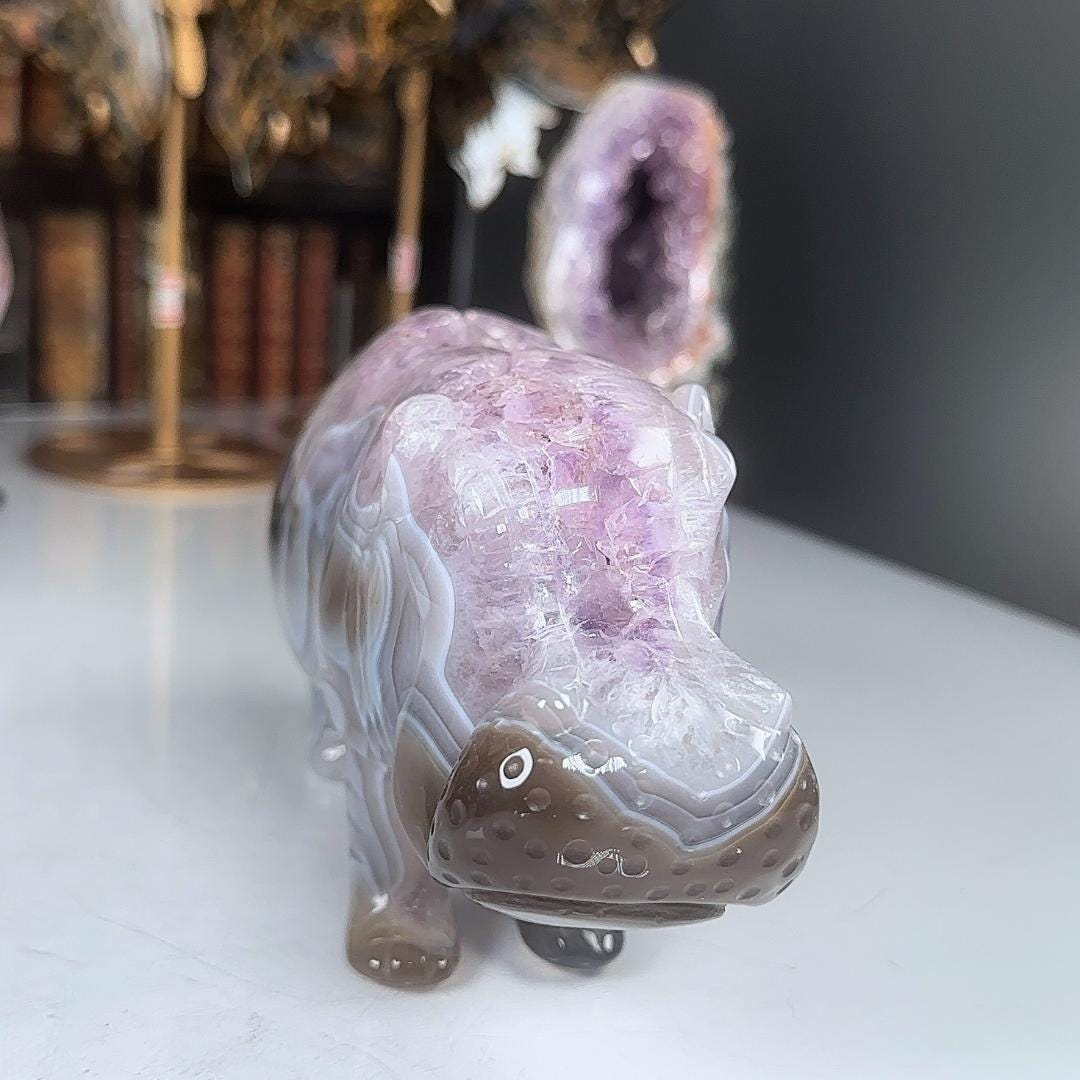 Druzy Amethyst Agate Hippo Carving | US Seller | Home Decor Energy Healing Feng Shui Altar Reiki Office Gift