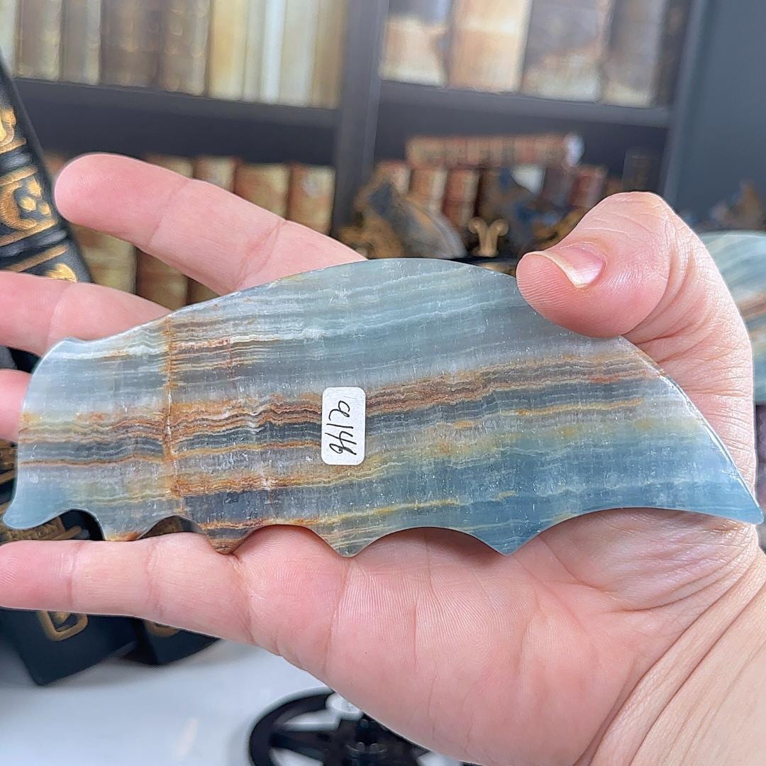 Blue Onyx Dragon Wings | US Seller | Metaphysical Shop Healing Concentration Trauma Energy Altar