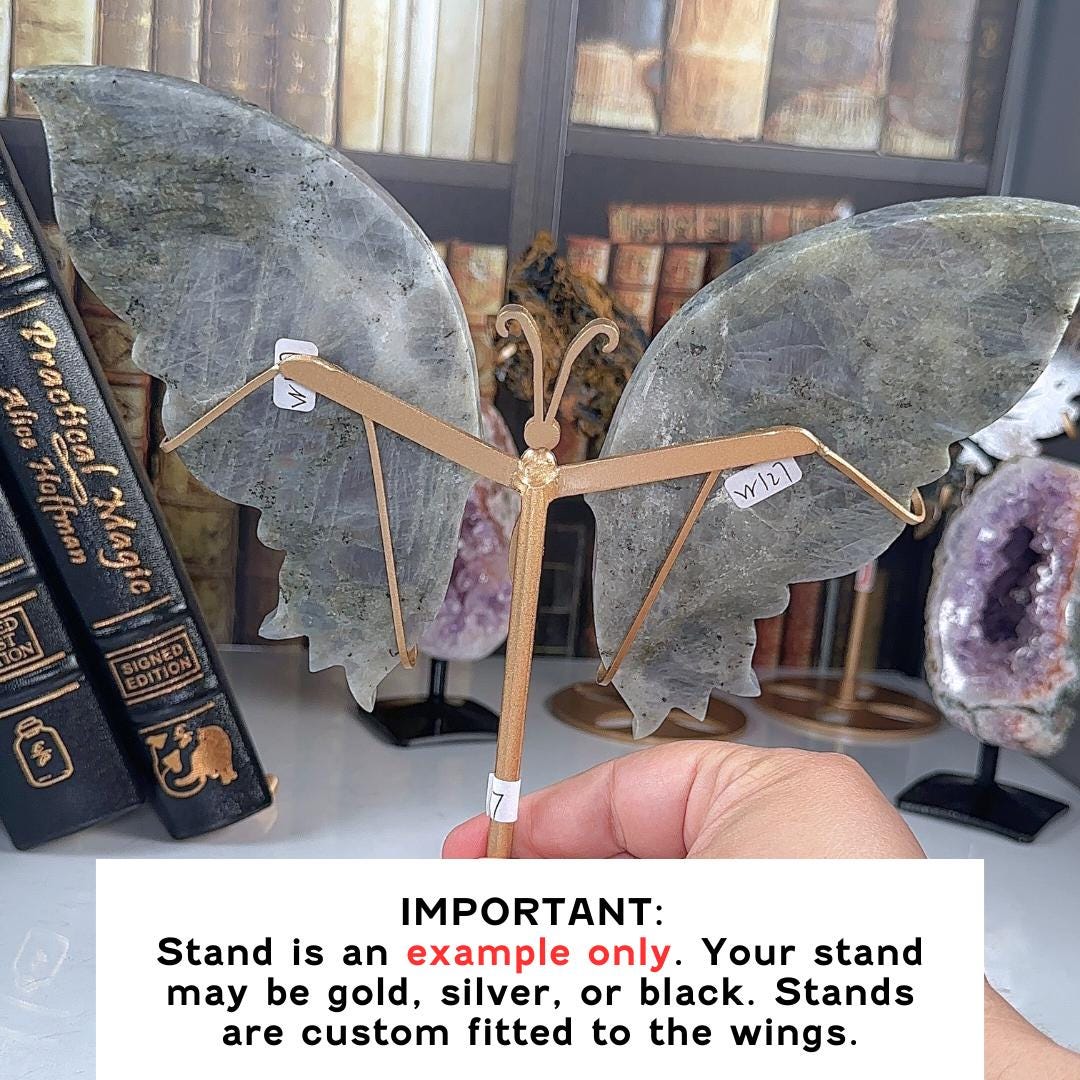 Large Flashy Purple Labradorite Wings | Chakra Healing Reiki Stone | Perfect for Meditation