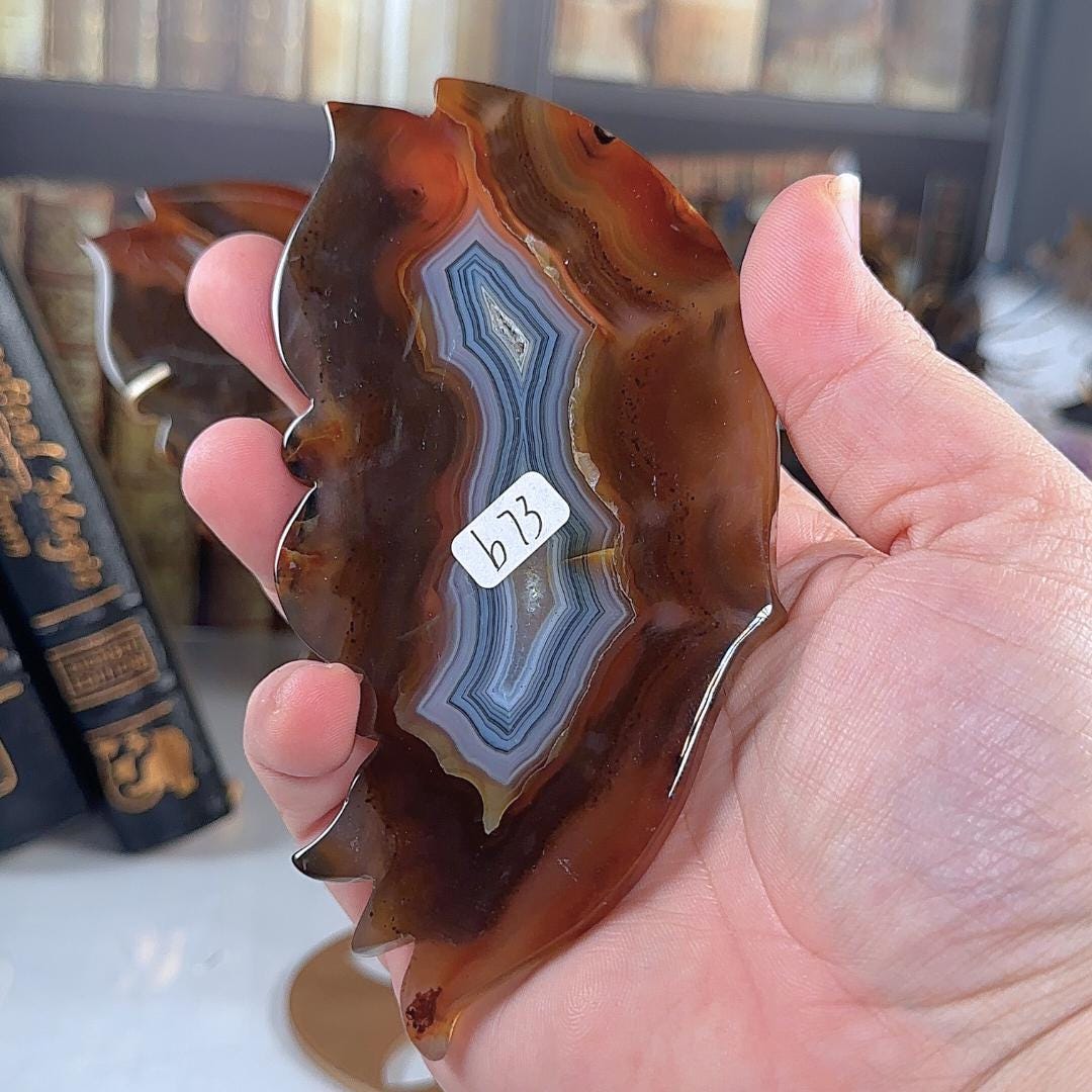 Druzy Red Agate Carnelian Crystal Wings | Stone Carving Sculpture Healing Altar Reiki Feng Shui Altar