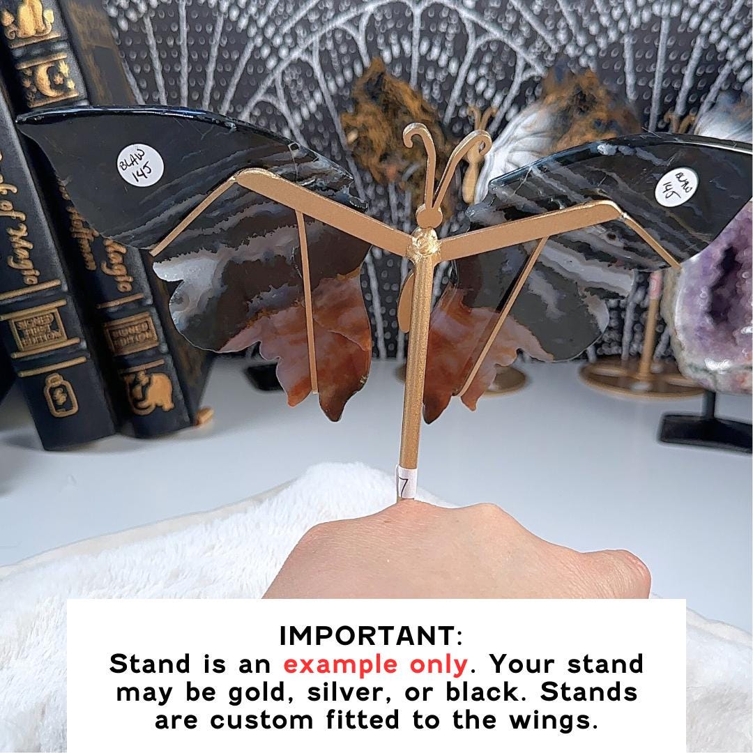 Druzy Black Agate Jasper Crystal Wings | Stone Carving Sculpture Healing Altar Reiki Feng Shui Altar