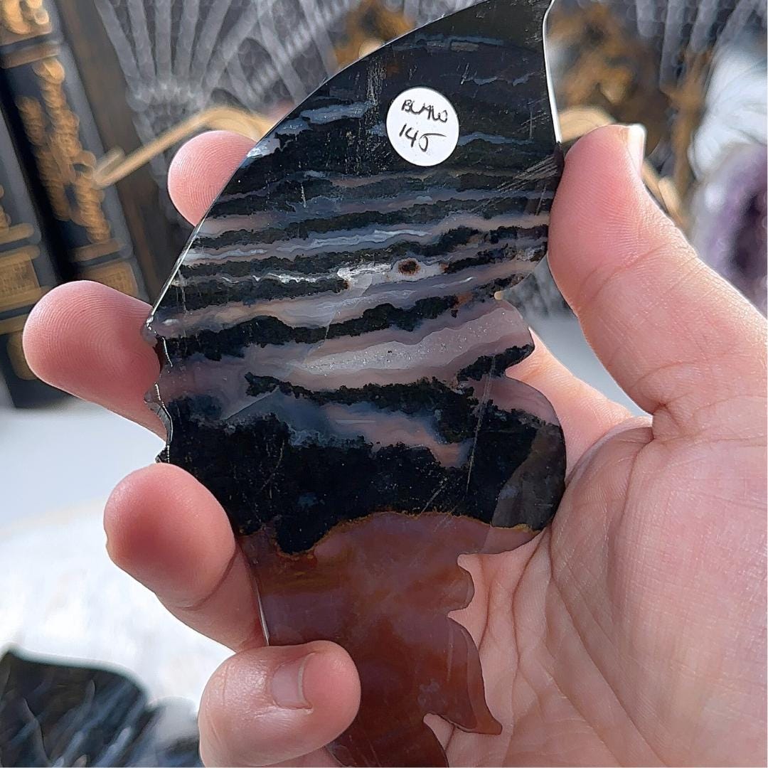 Druzy Black Agate Jasper Crystal Wings | Stone Carving Sculpture Healing Altar Reiki Feng Shui Altar