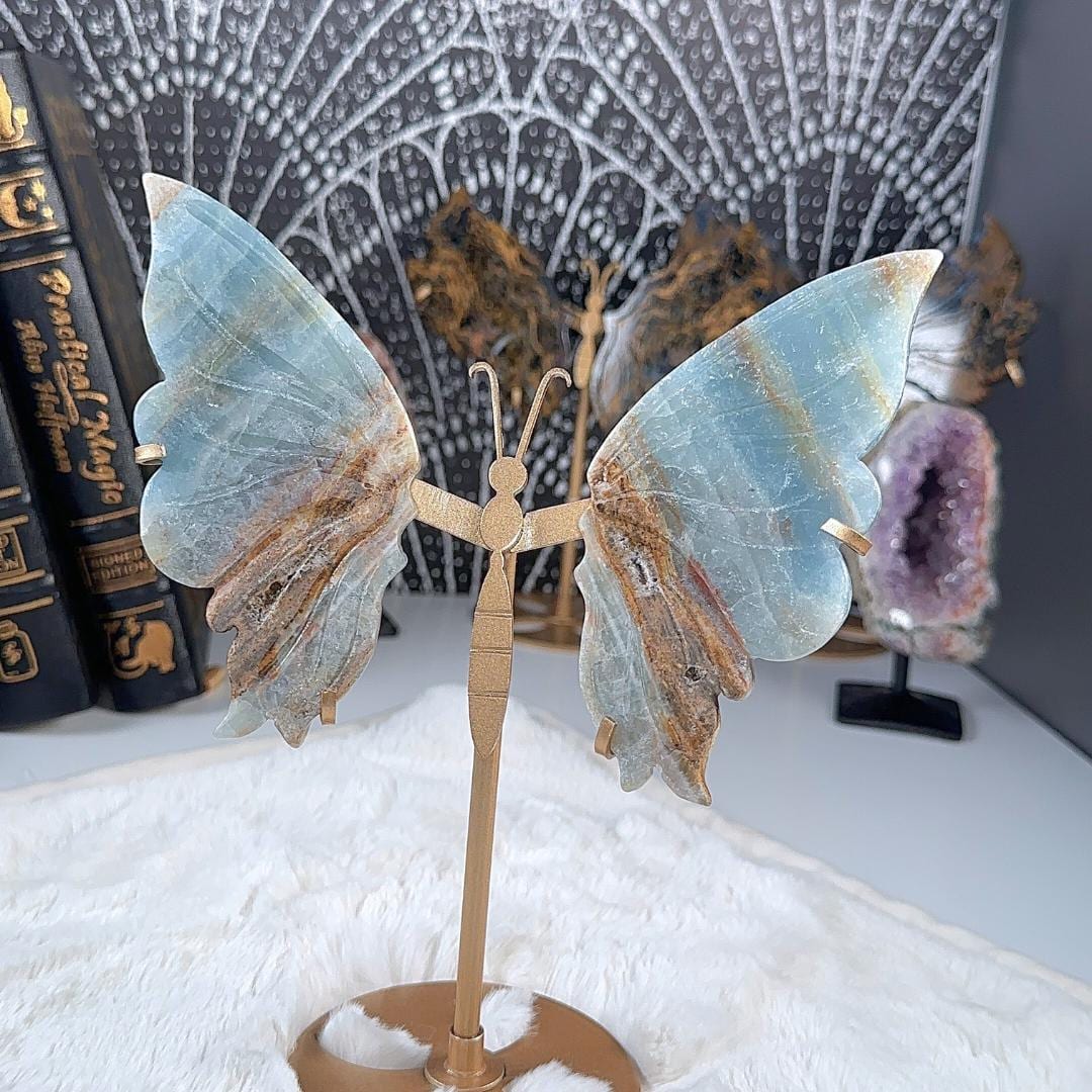 Blue Onyx Butterfly Wings | US Seller | Metaphysical Shop Healing Concentration Trauma Energy Altar