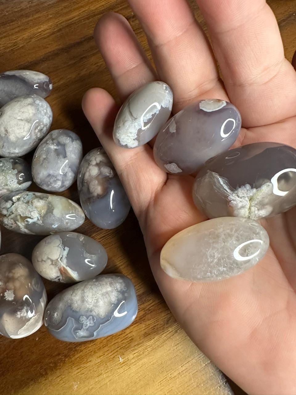 Black Flower Agate Tumbles | High Quality Crystal | Flower Agate | US Seller