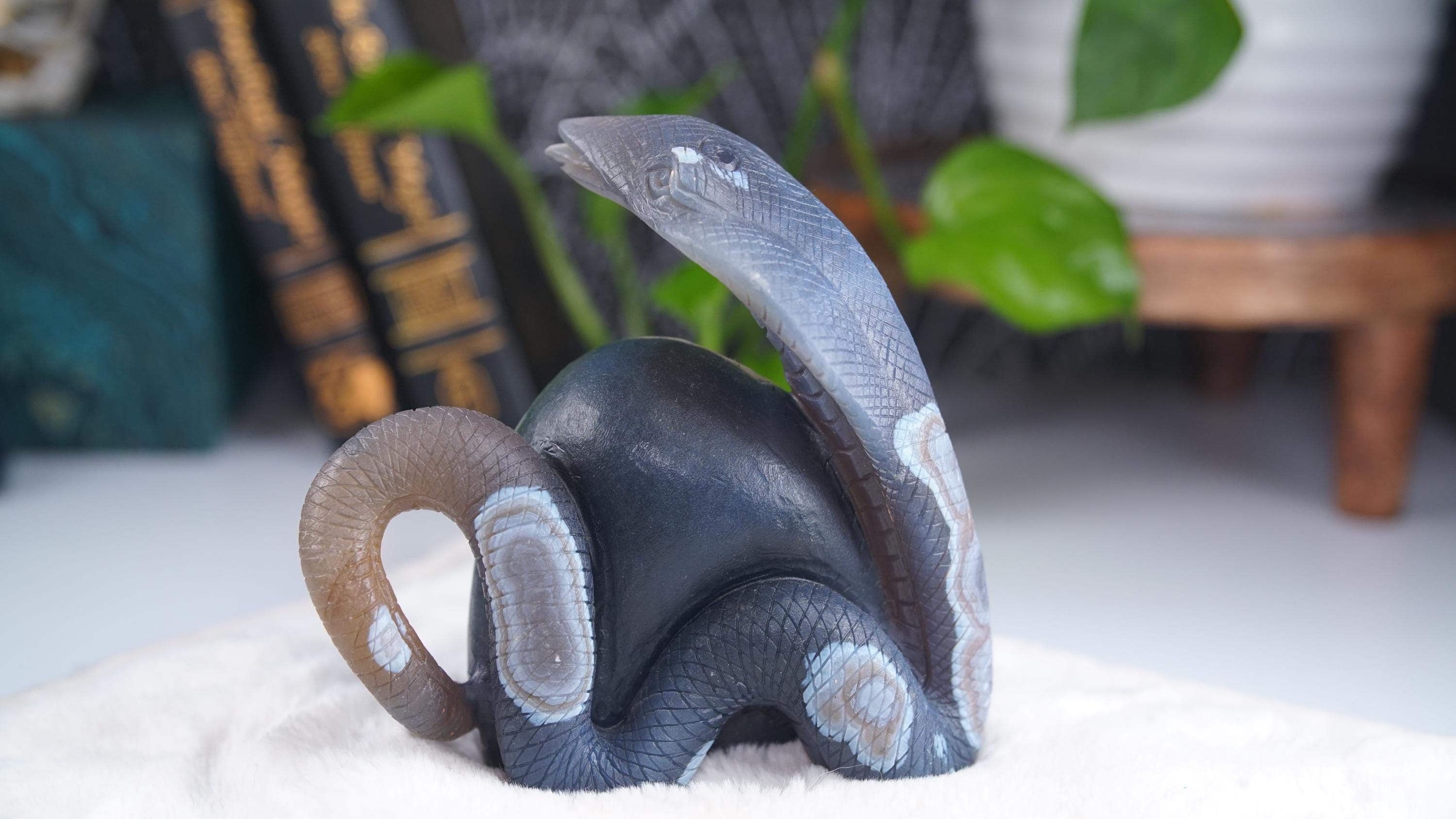 Druzy Agate Amethyst Snake Crystal Carving Geode Statement Piece