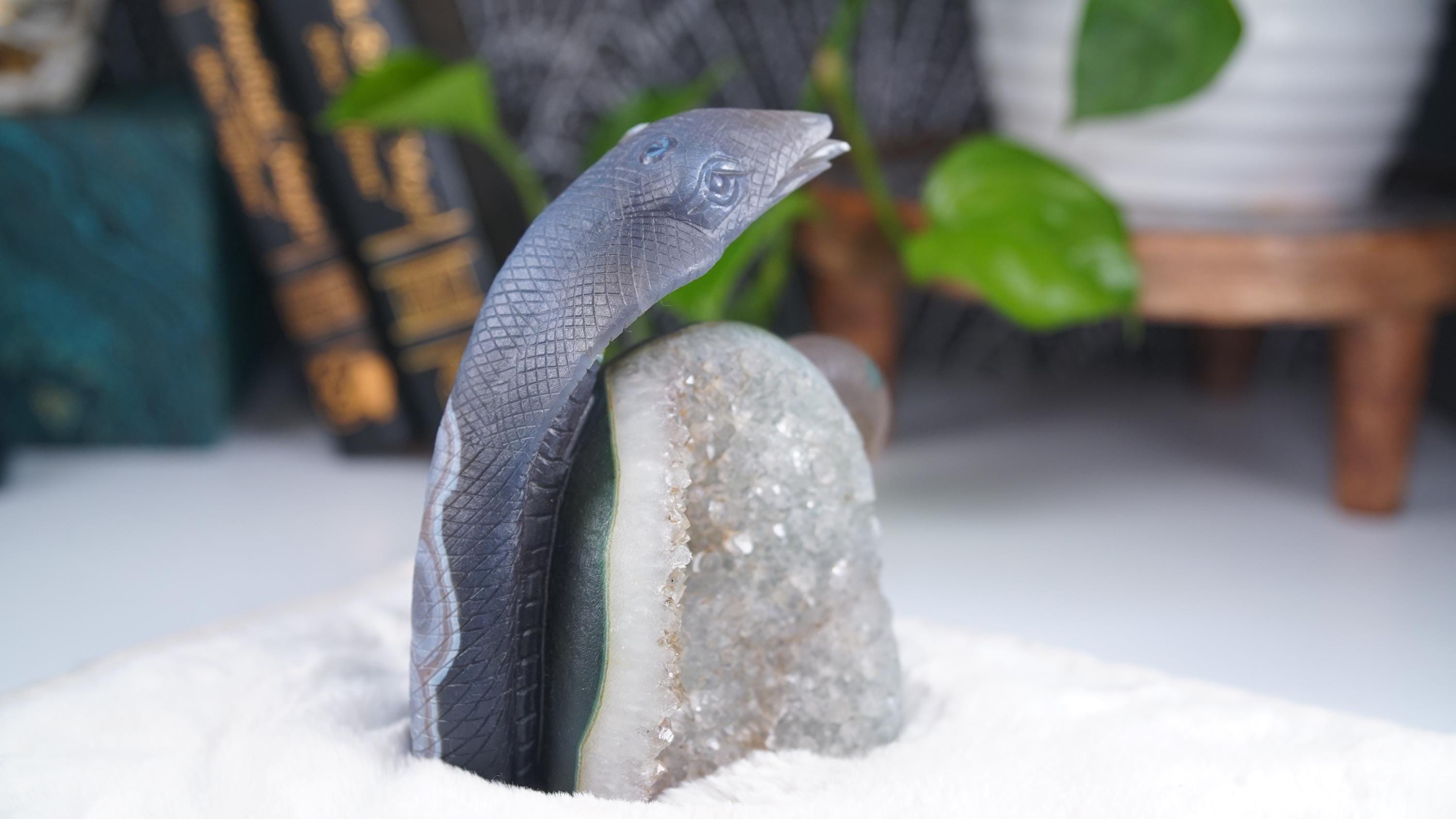 Druzy Agate Amethyst Snake Crystal Carving Geode Statement Piece