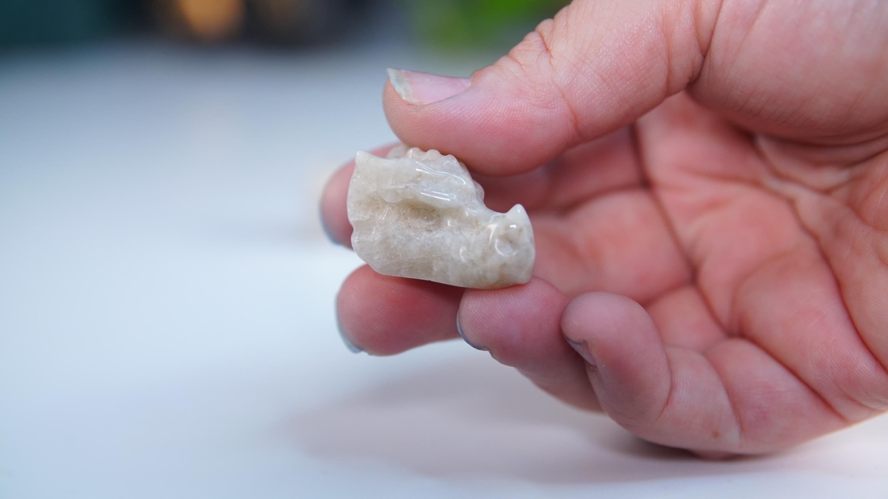 MINI Moonstone Dragon Head | US Seller | Chakra Healing, Reiki Healing Altar Balance Intuition