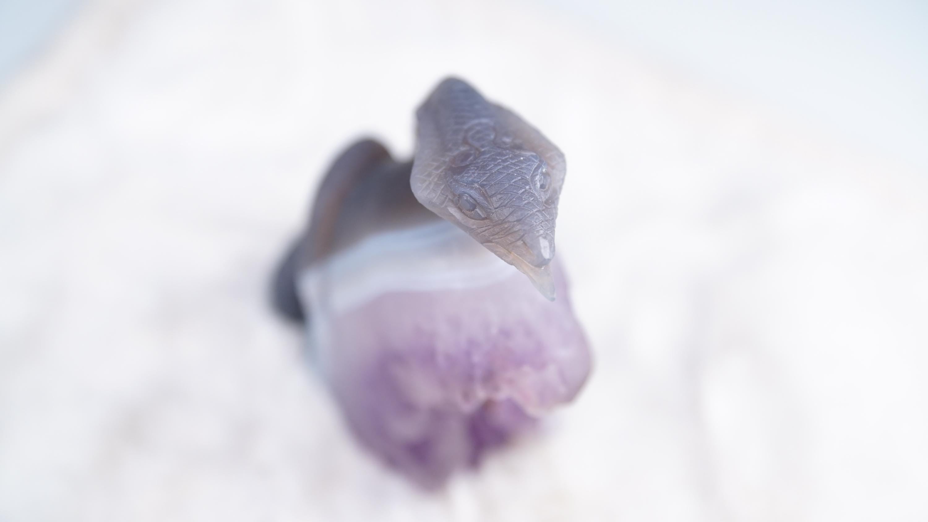Druzy Agate Amethyst Snake Crystal Carving Geode Statement Piece