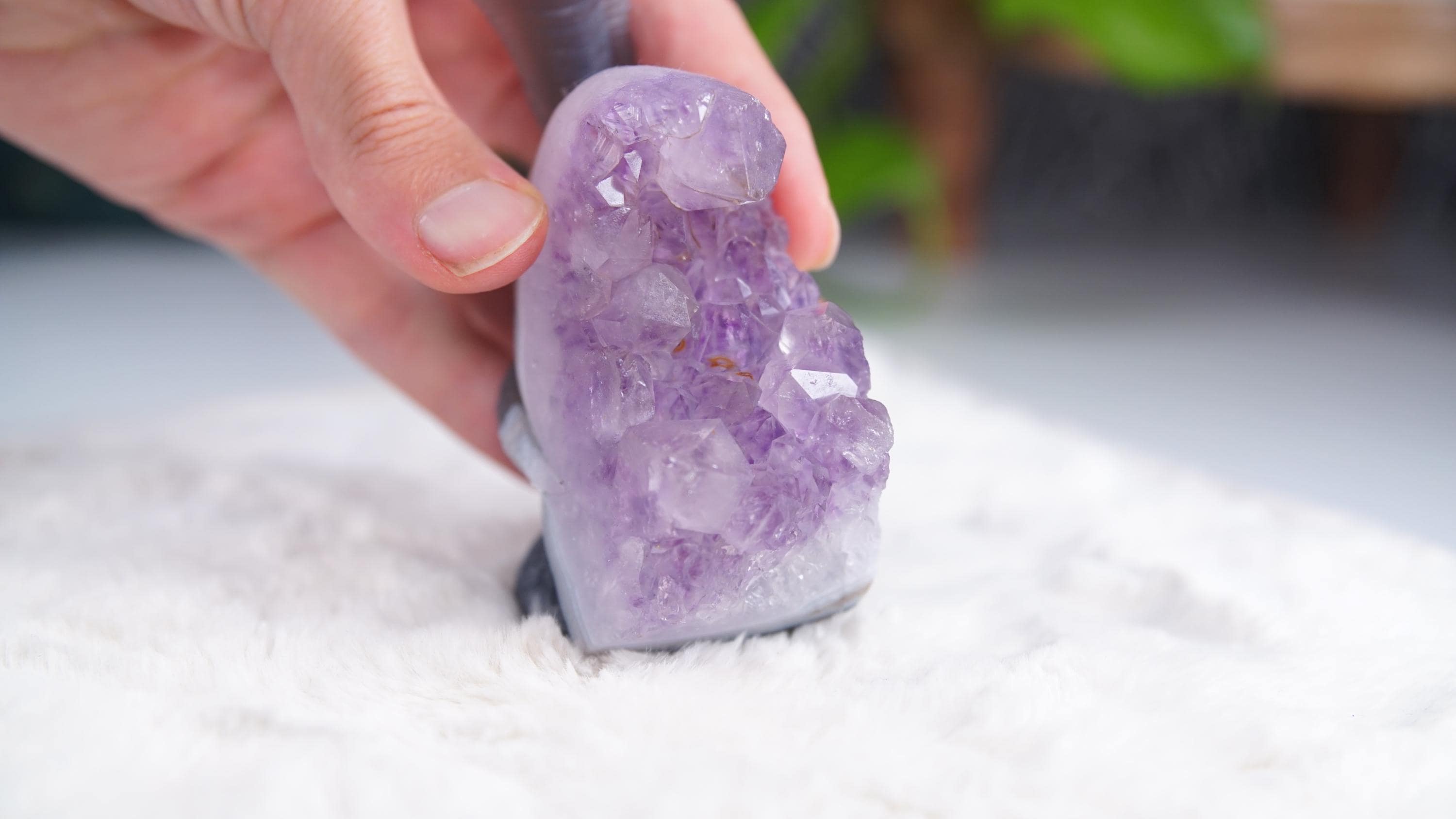 Druzy Agate Amethyst Snake Crystal Carving Geode Statement Piece