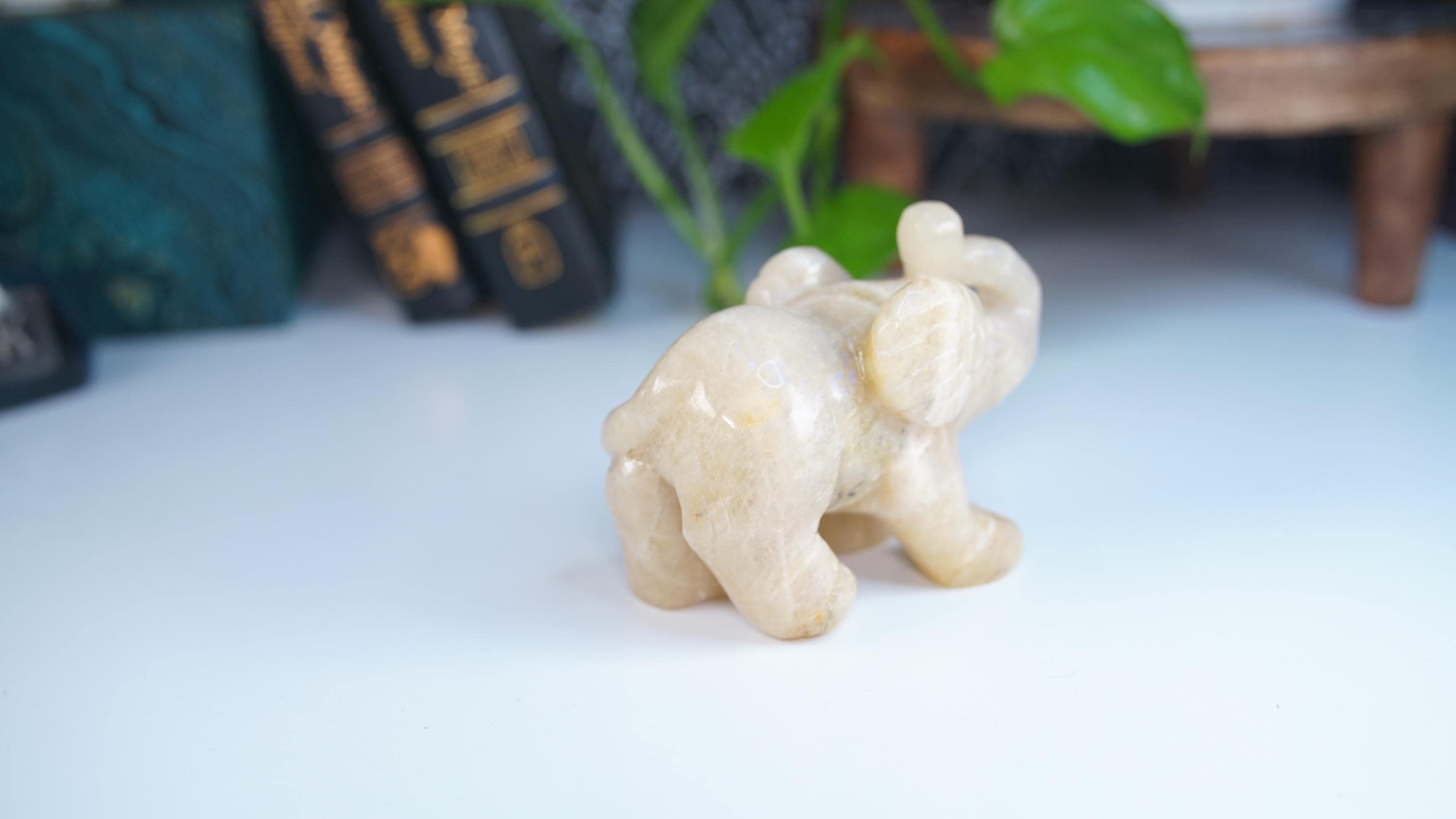 Flashy Blue Moonstone Elephant Sunstone | US Seller | Chakra Healing, Reiki Healing Altar Balance Intuition