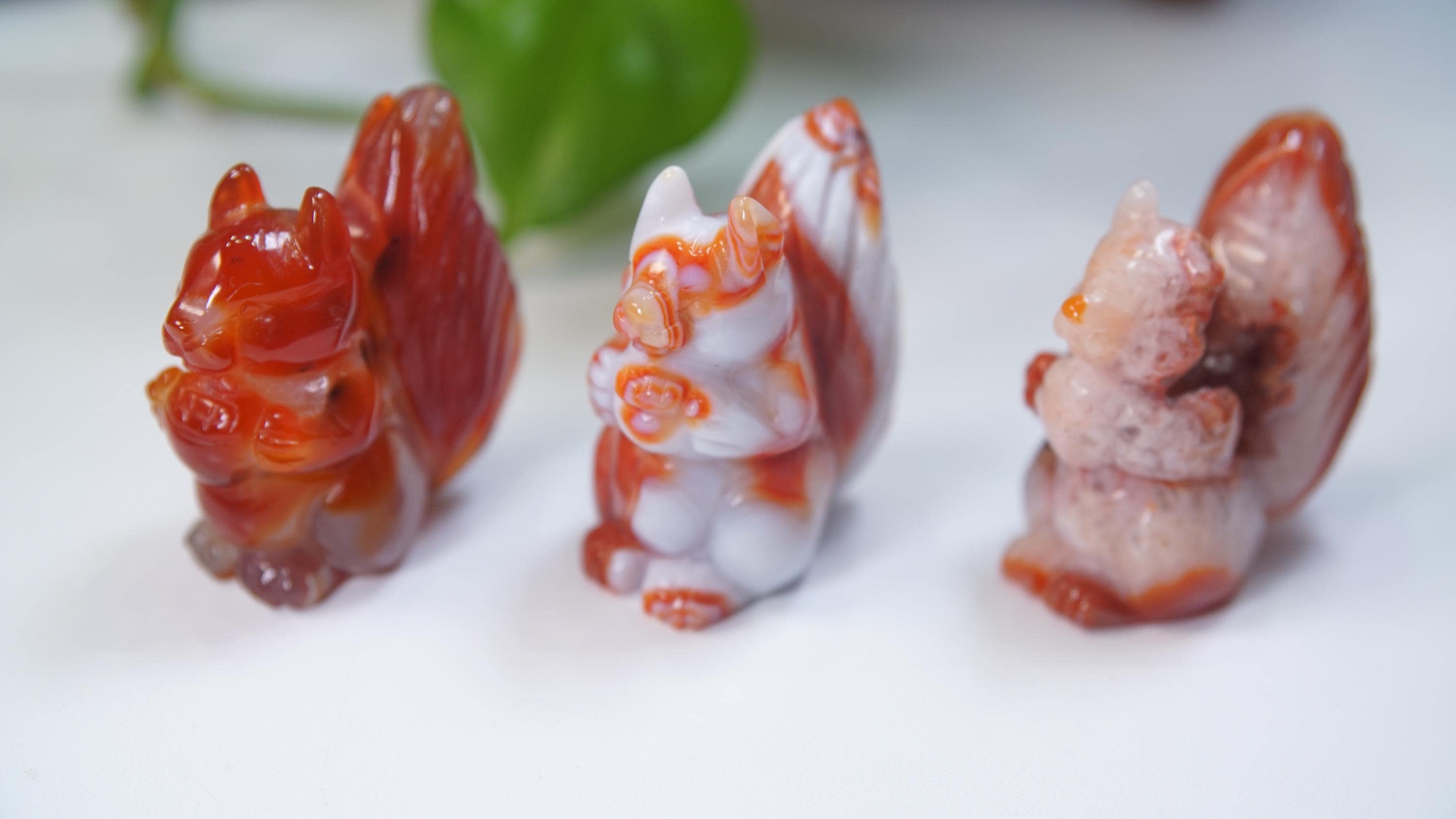 Druzy Carnelian Squirrel Boutique Carvings | High Quality | US Seller
